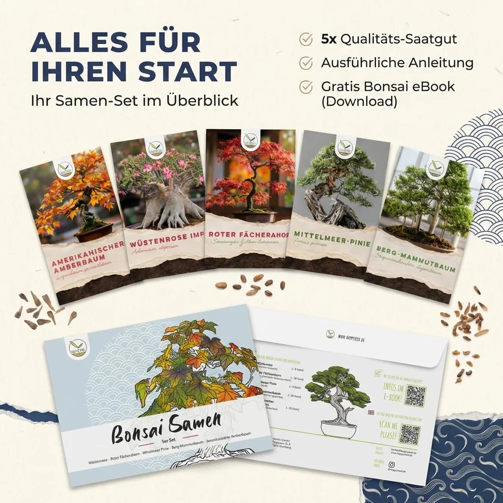 Graines de bonsaï Kit 5 graines taux de germination élevé