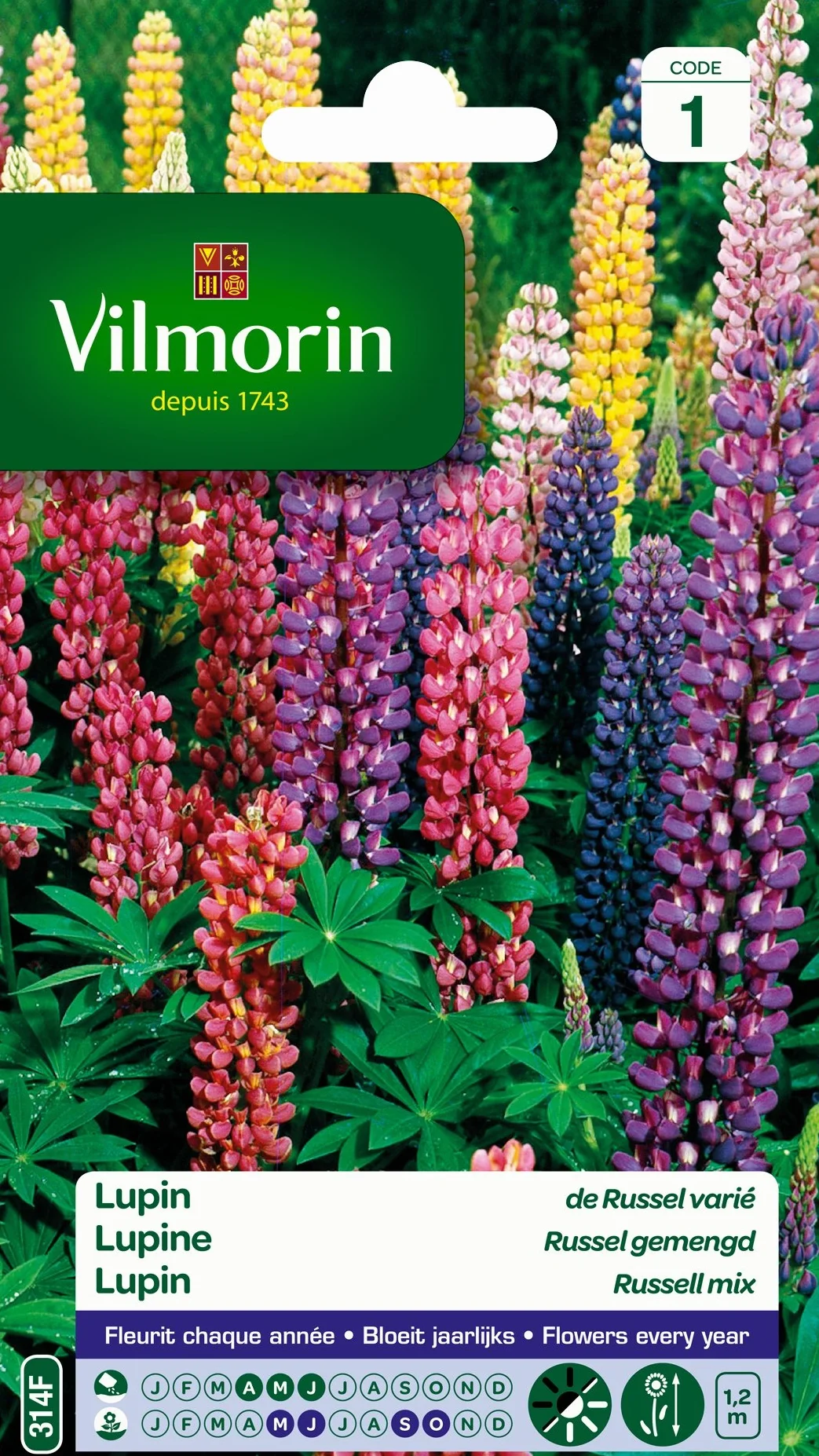 Vilmorin Lupin de Russel Multicolore 9 x 0.5 x 16 cm