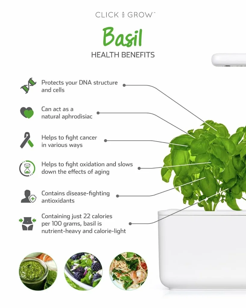 Click & Grow Smart Herb Garden Basilic Pack de 3 recharge