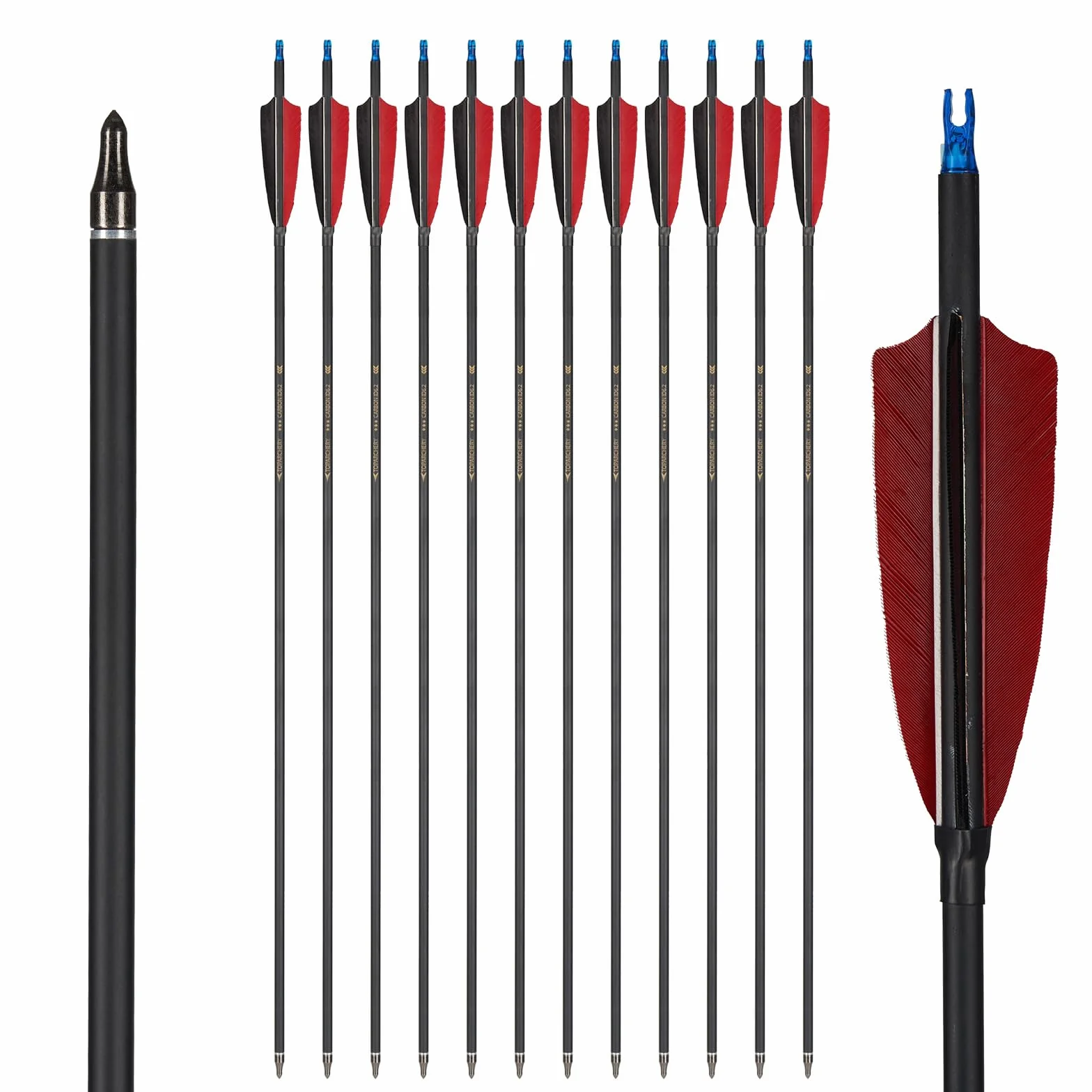 Toparchery Flèches Tir à l'Arc 30 Pouces Carbone Plumes Naturelles Turquie Arc Recurve Compound Long