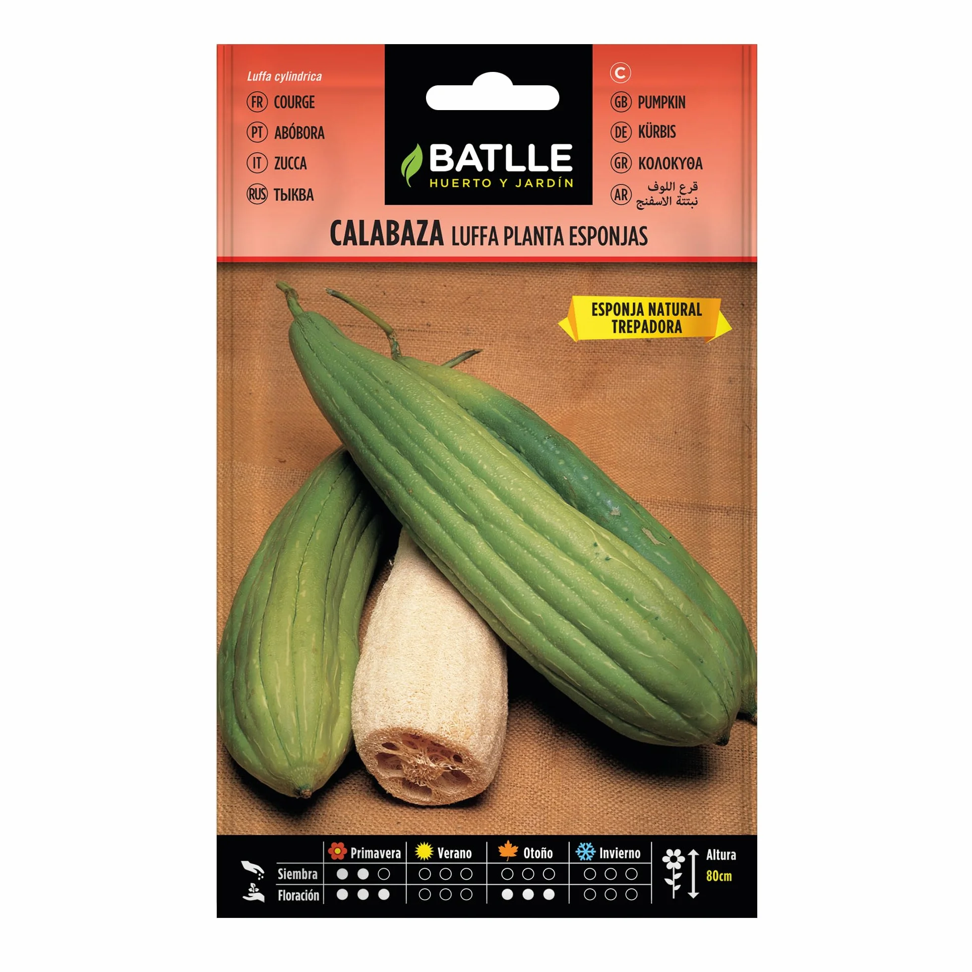 Semillas Batlle COURGE Eponge Orange