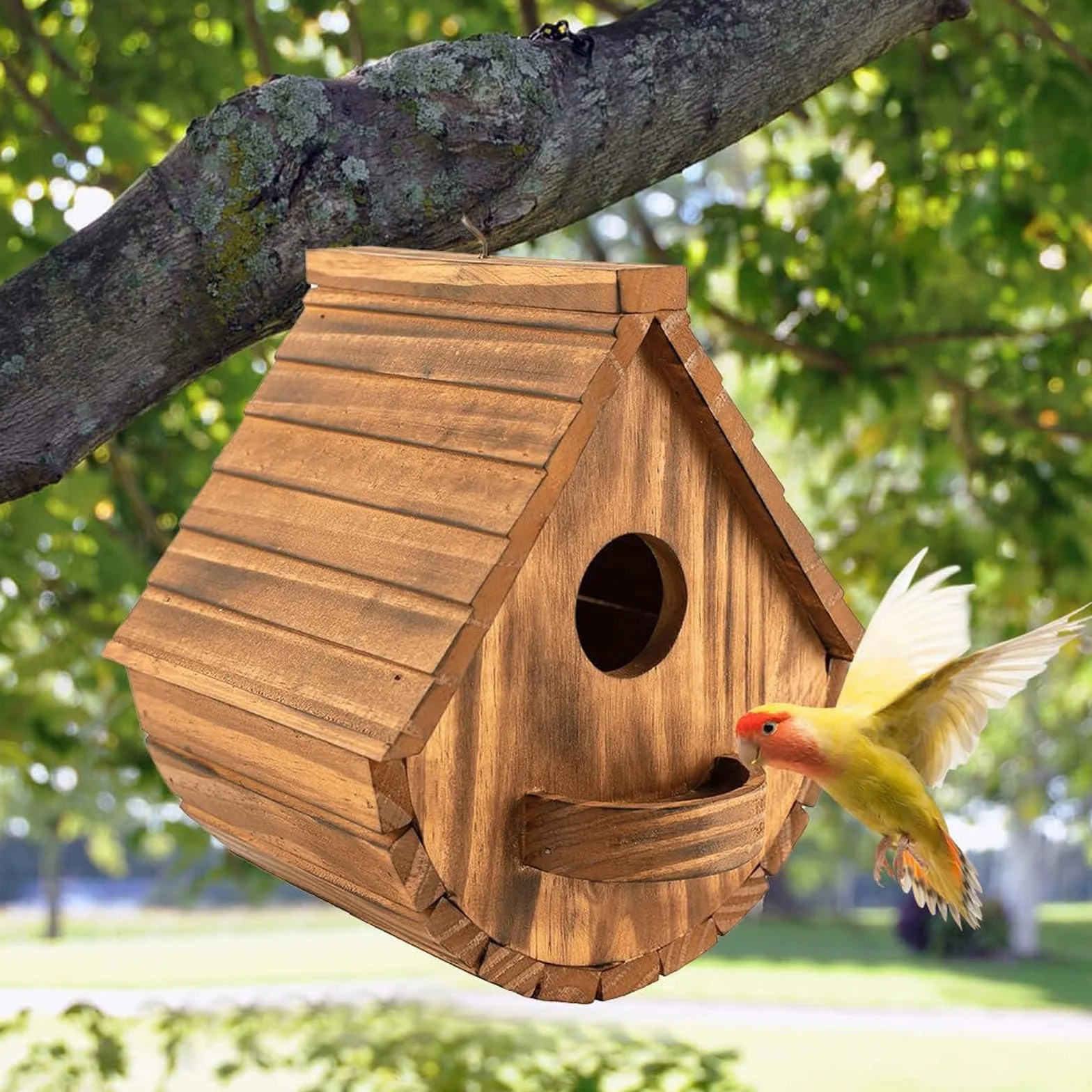 Nichoir pour Oiseaux Exterieur en Bois - Mangeoire Oiseaux Sauvages, résistant aux intempéries