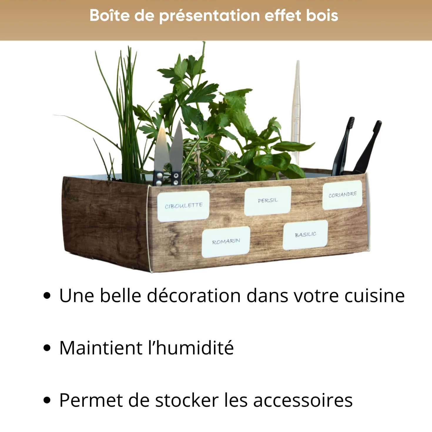 NOPALIA® Kit Herbes Aromatiques Bio Prêt à Pousser 5 Variétés Pots Biodégradables Cadeau Cuisine