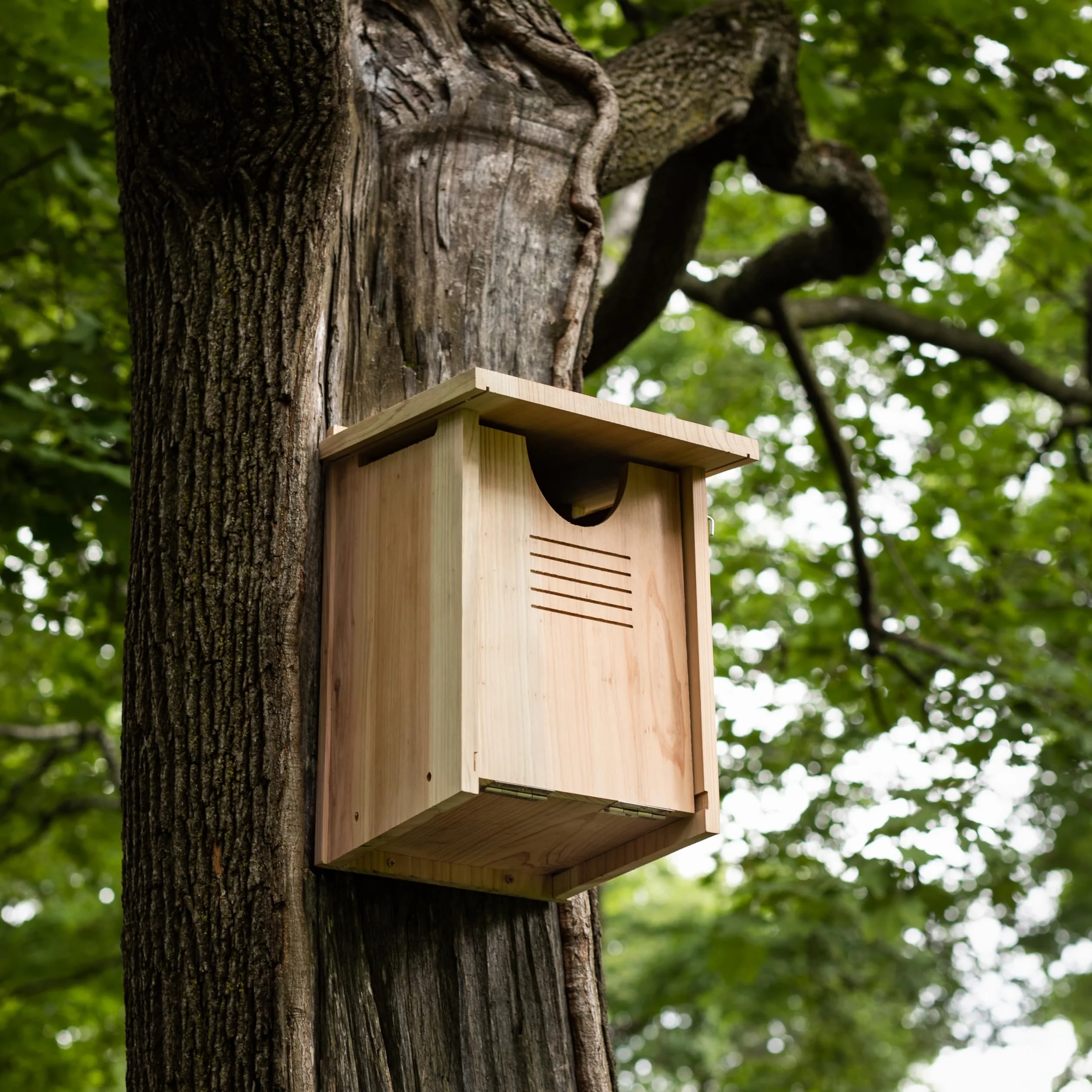WHITEHORSE Grande Maison pour Chouettes en Bois de Cèdre 41 x 30 x 28 cm