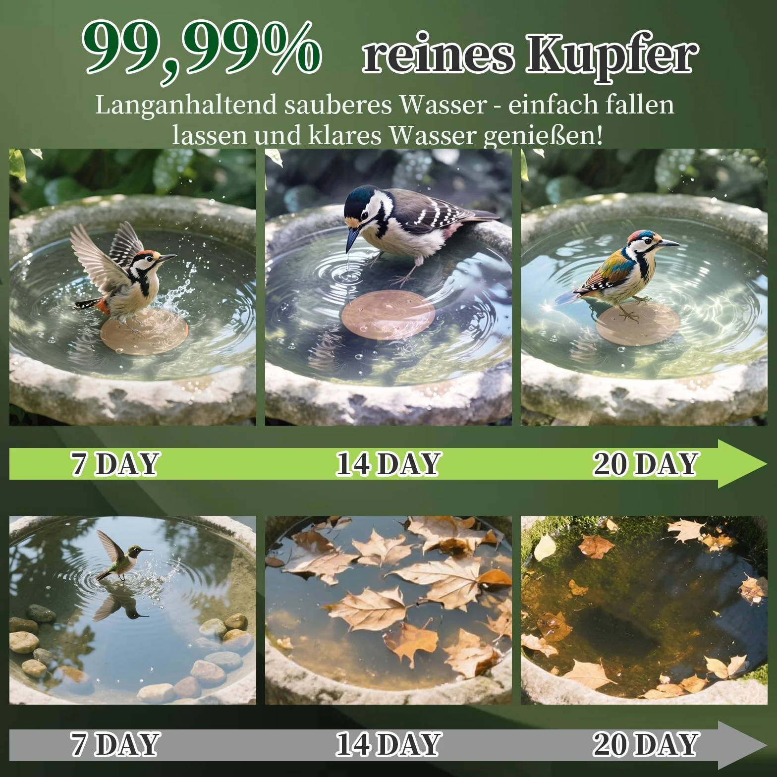 Mellbree Abreuvoir pour oiseaux Disque en cuivre 99,99% 0,6 mm