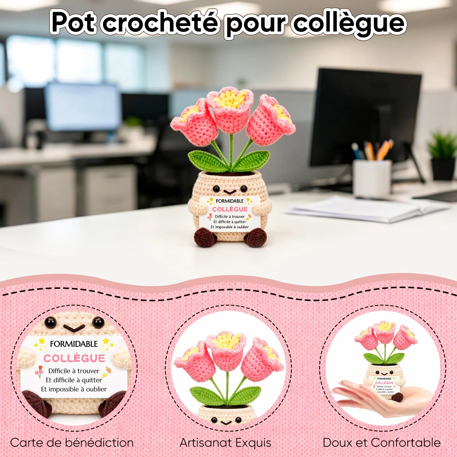 Pot De Fleurs Au Crochet Cadeau Collegue Femme Anniversaire Idée Depart Retraite Message Présent Elle Déco Bureau Unique Noël Fête
