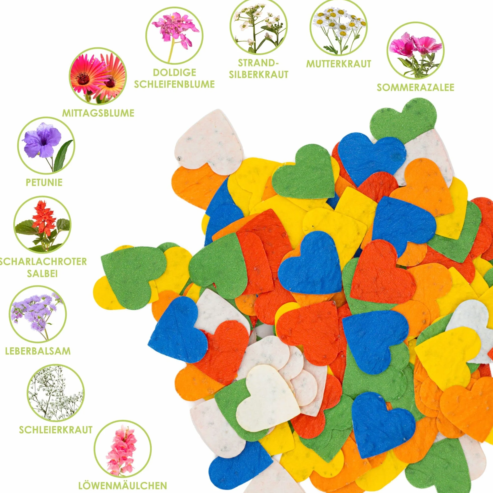 Confettis de graines fleuries pour fleurs sauvages multicolores - 100% biodégradable (200 pièces)