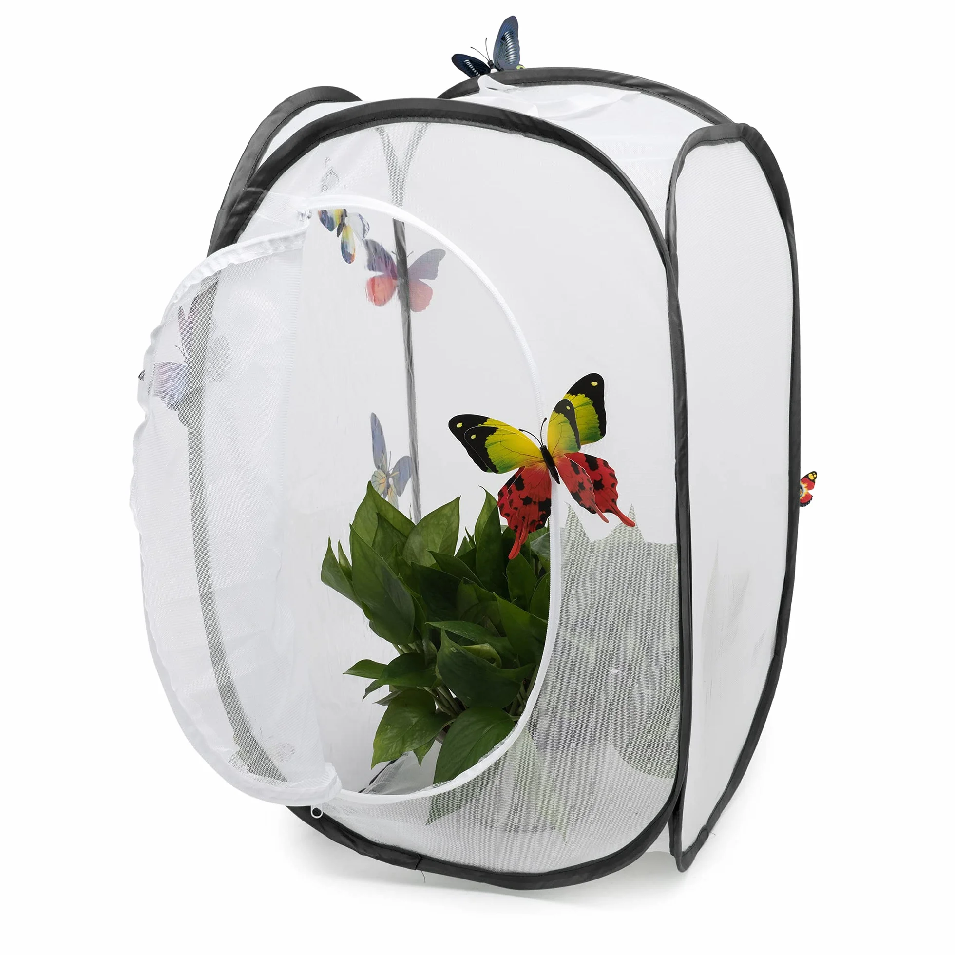 Cage à Papillon et Insectes Mesh Habitat Terrarium d'explore et Protect, Noir