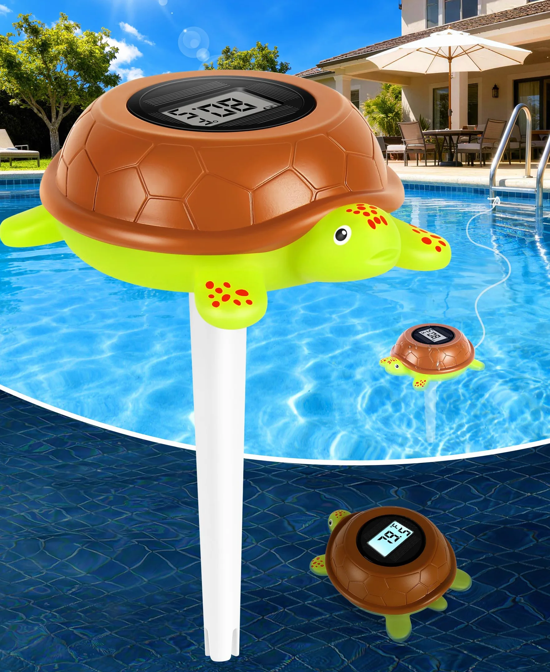 Thermomètre Flottant Piscine Solaire Numérique Rétroéclairage Tortue Digital Spa Ultra-Précis