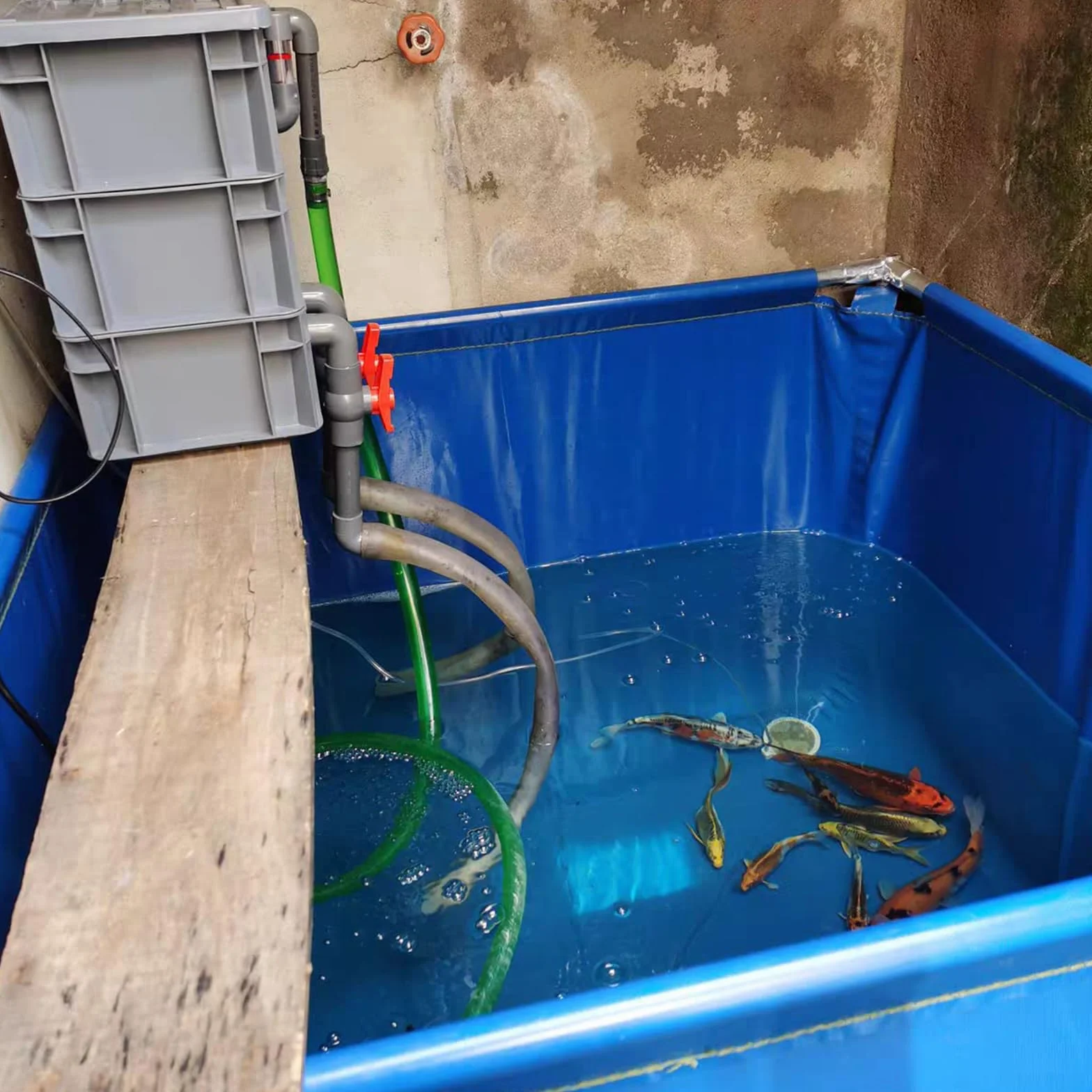 Bassin À Poissons en Toile 100x100x100cm Pliable Grande Piscine Aquaculture pour Koï et Jardin