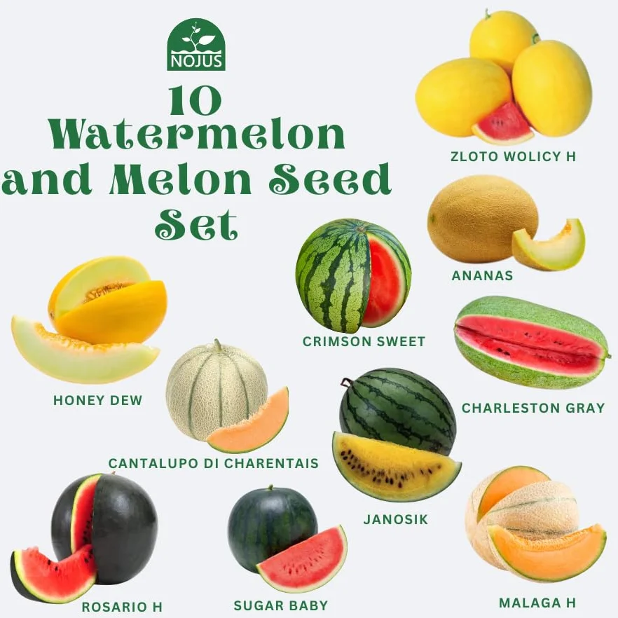 Nojaus Collection de graines de pastèques et de melons 10 variétés Sugar Baby Crimson Sweet Honey Dew Cantaloupe