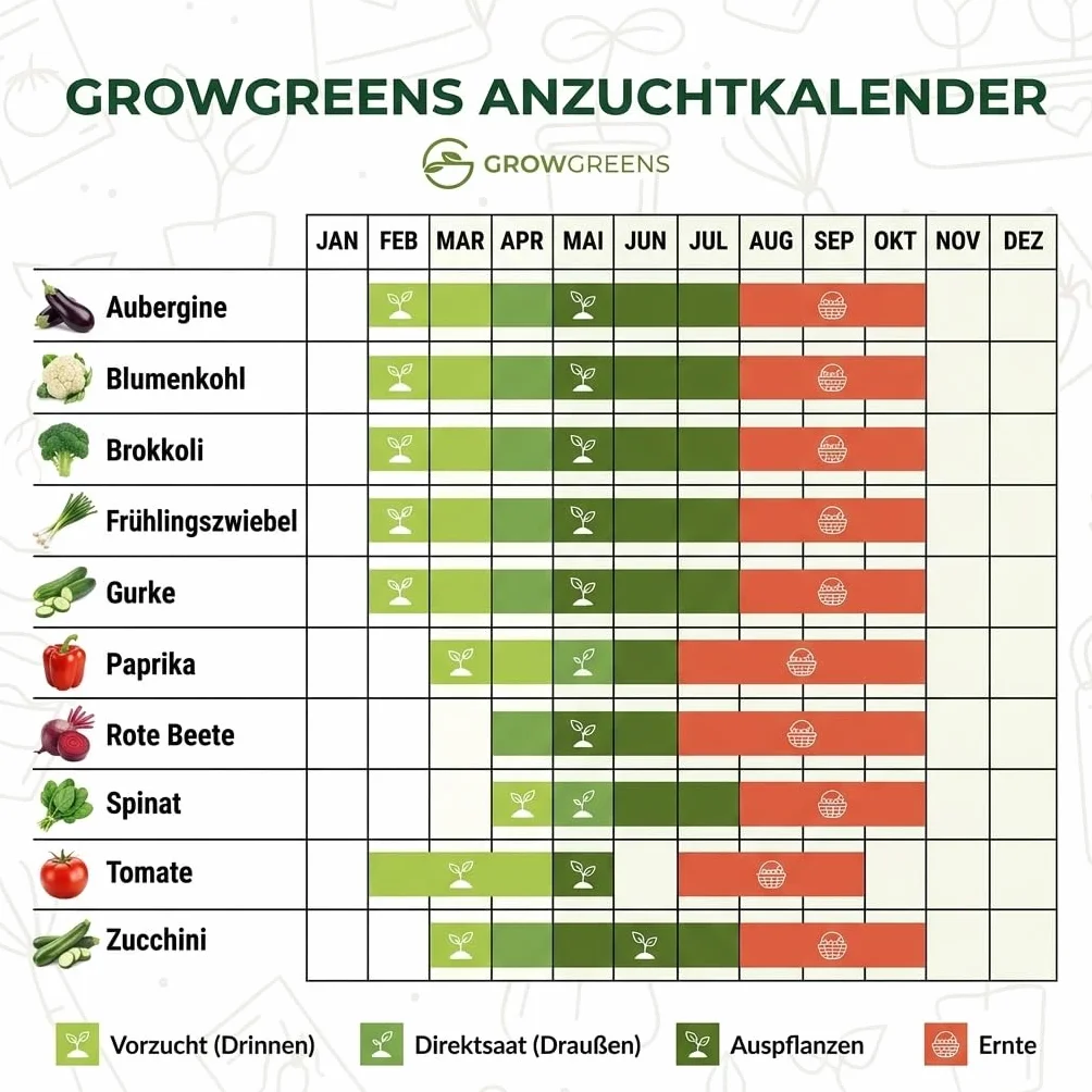 BIO Kit de graines potager 10 variétés légumes - semis biologique prêt à pousser terrasse, balcon, jardin
