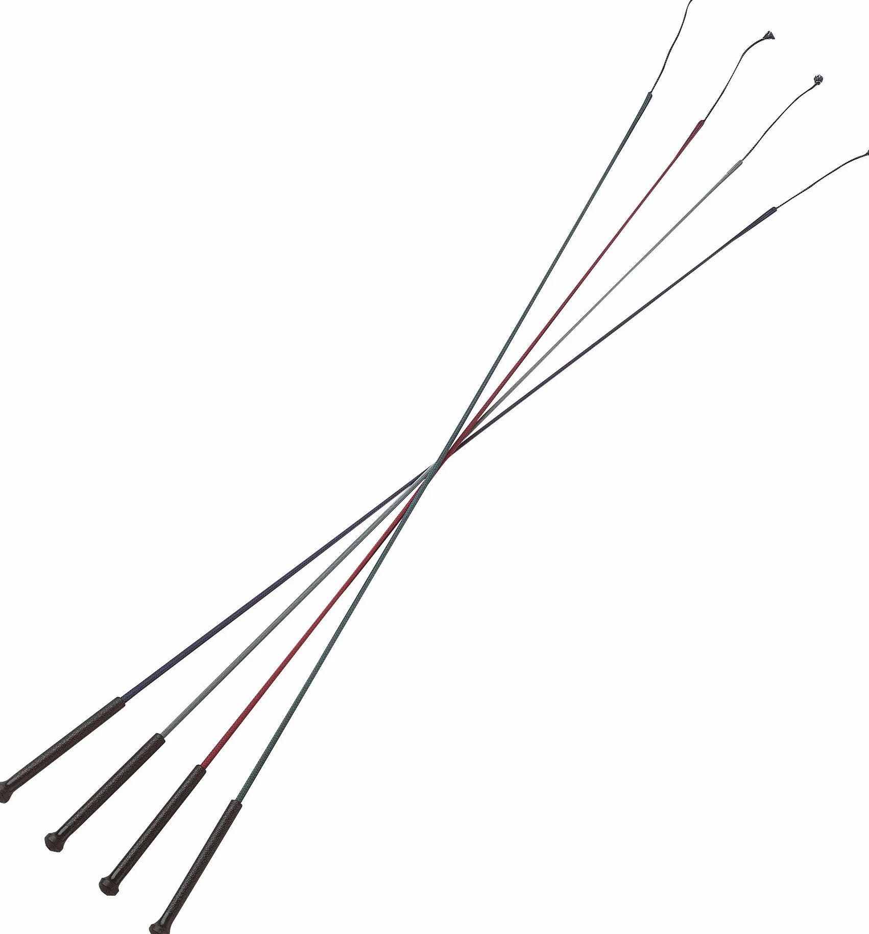 Whip et Passez 952031 Cravache de Dressage, Mixte, 952031