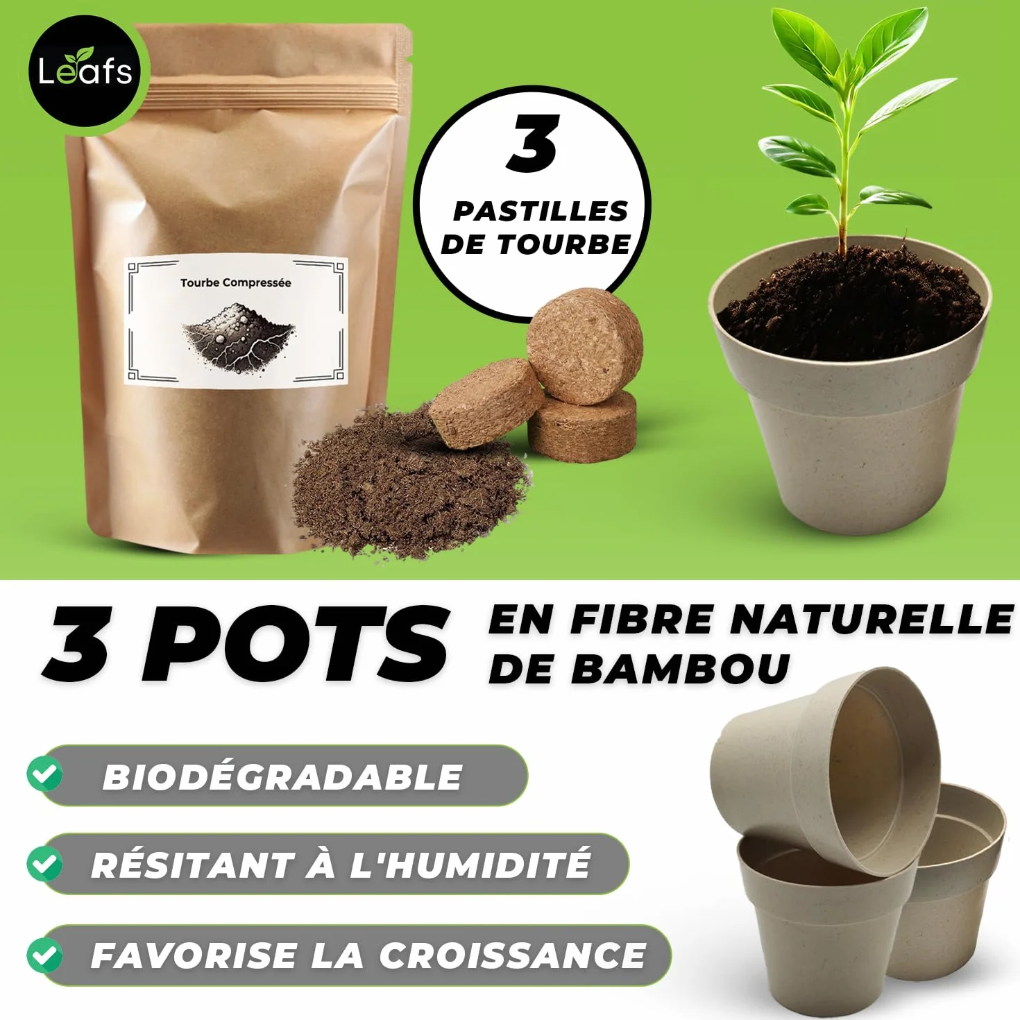 Kit De Plantation Pour Bonsais - Cadeau Anniversaire, Kit Jardinage Enfant - Cultivez Votre Propre Plante Bonsai