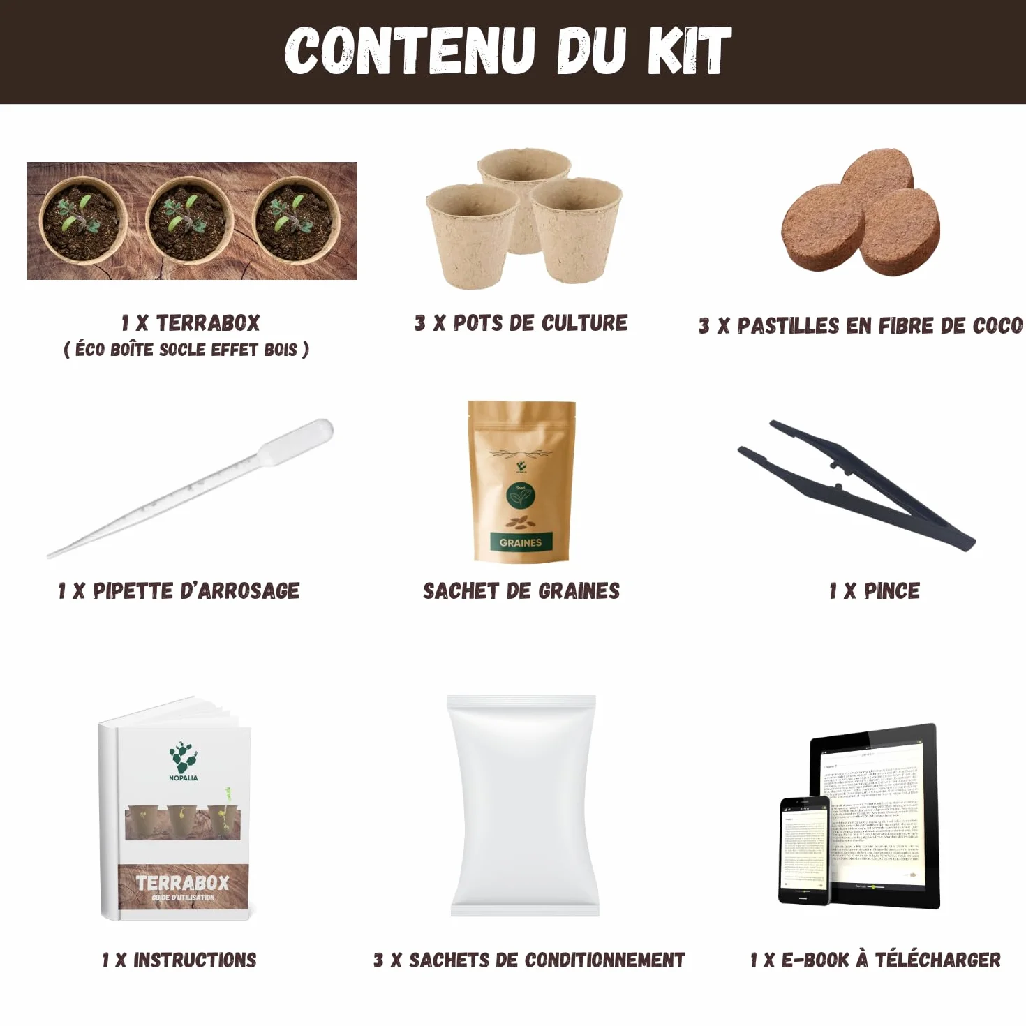 NOPALIA Kit Plantes Carnivores Dionée Attrape-Mouche Complet avec Graines Pots Tourbe Accessoires DIY Jardin Intérieur