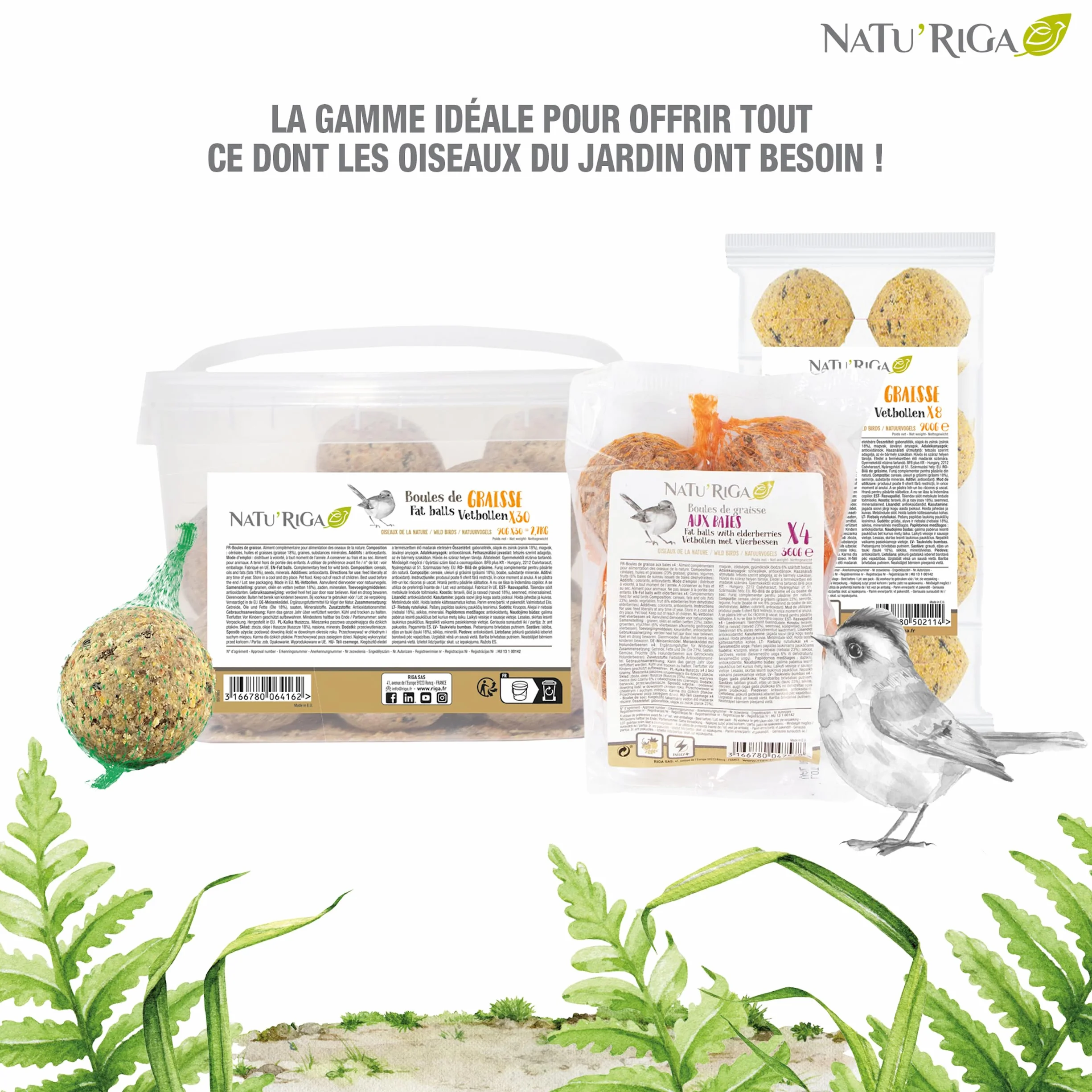 NATU'RIGA Boules De Graisses Au Raisin Nourriture Oiseaux Exterieur x 4