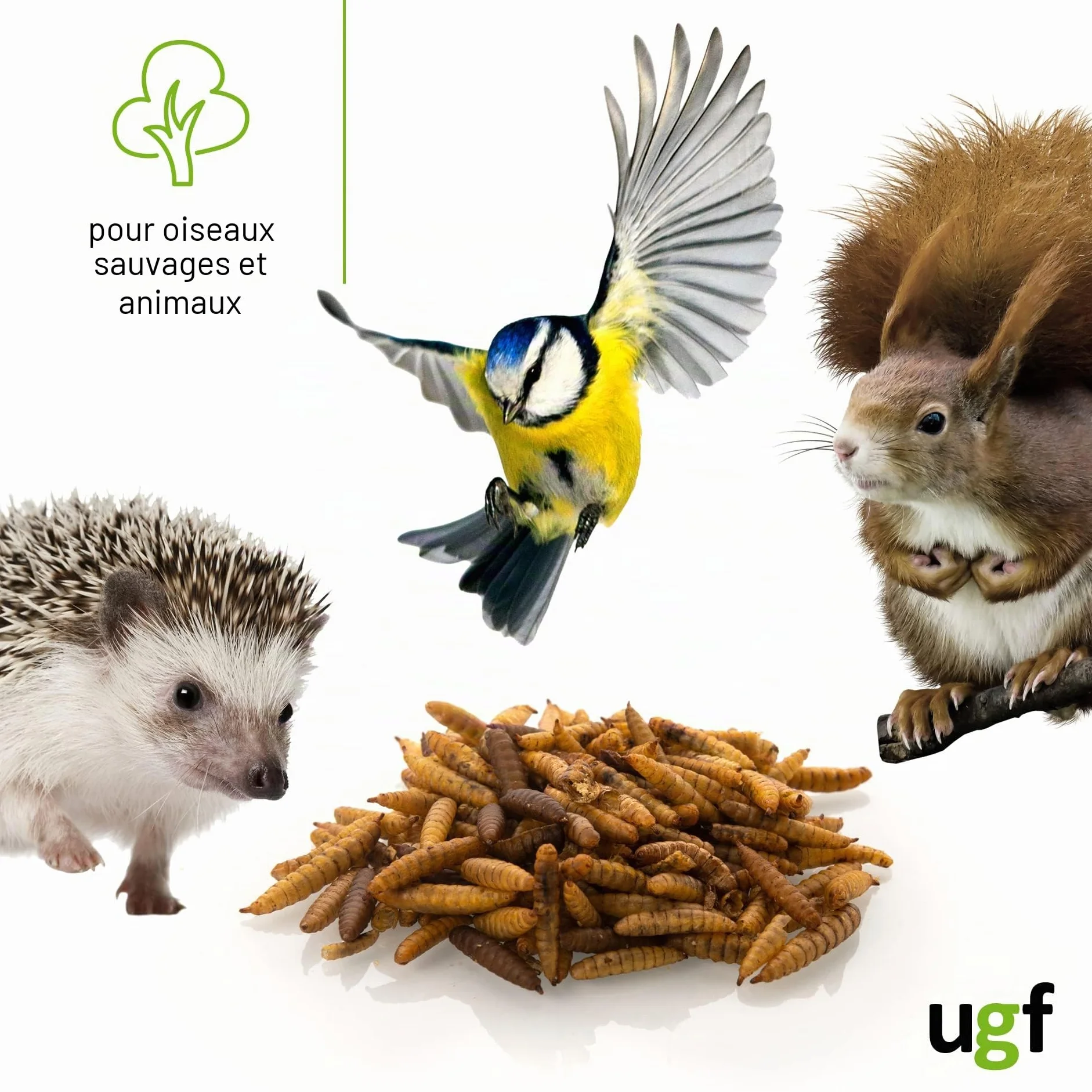 UGF Hermetia Mieux Que Les vers de Farine séchés 430 g Seau 3 litres 85 Fois Plus de Calcium Friandises pour Oiseaux Sauvages