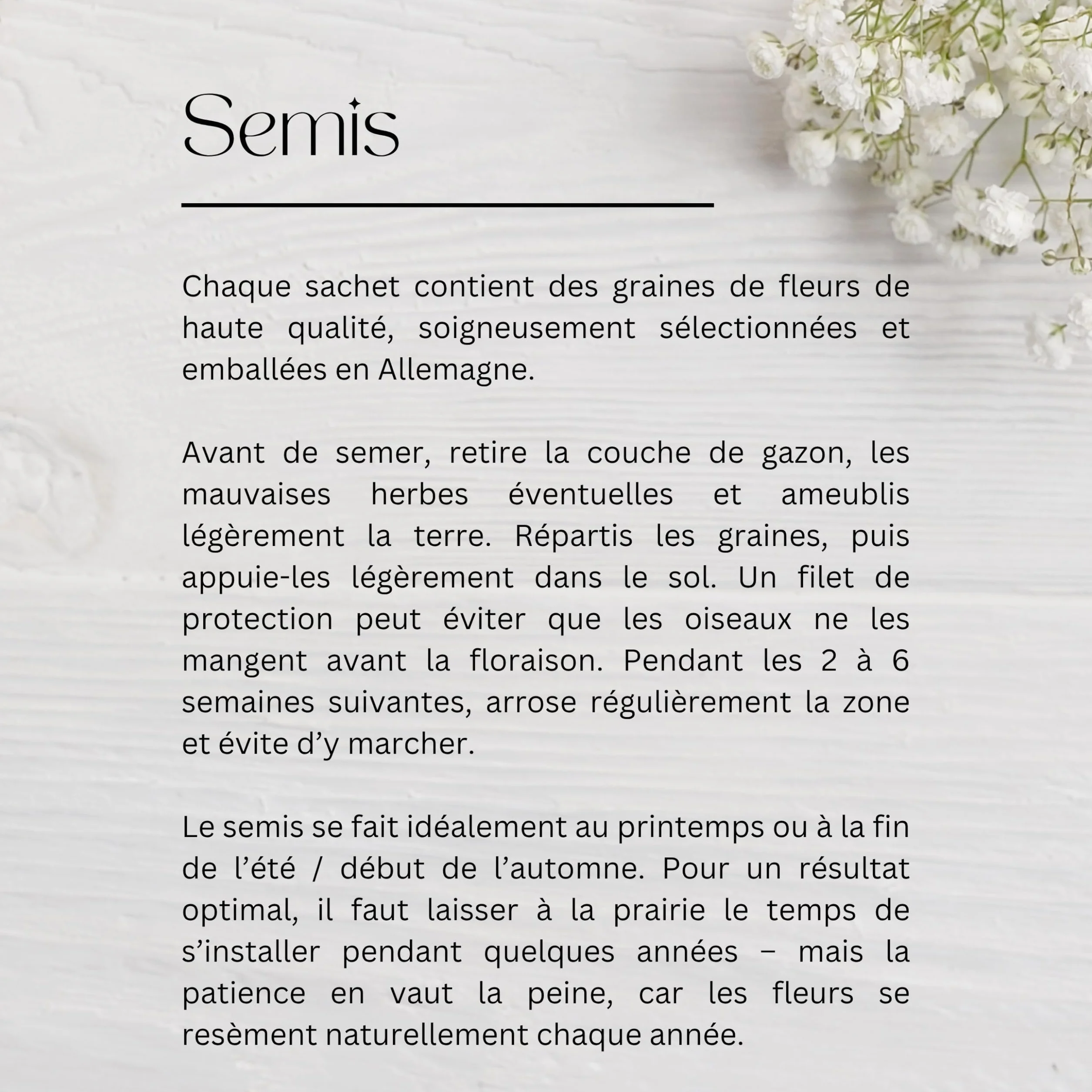 Graines de fleurs Merci 10 sachets Cadeaux de remerciement originaux pour invités collègues éducatrices anniversaire enfant mariage