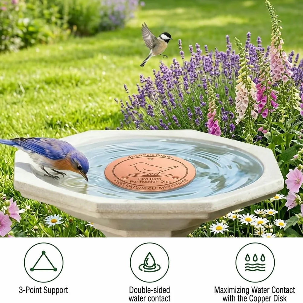 Plaque de Nettoyage en Cuivre Pur 99,99% pour Bain d'Oiseaux, Purification d'Eau sans Produits Chimiques