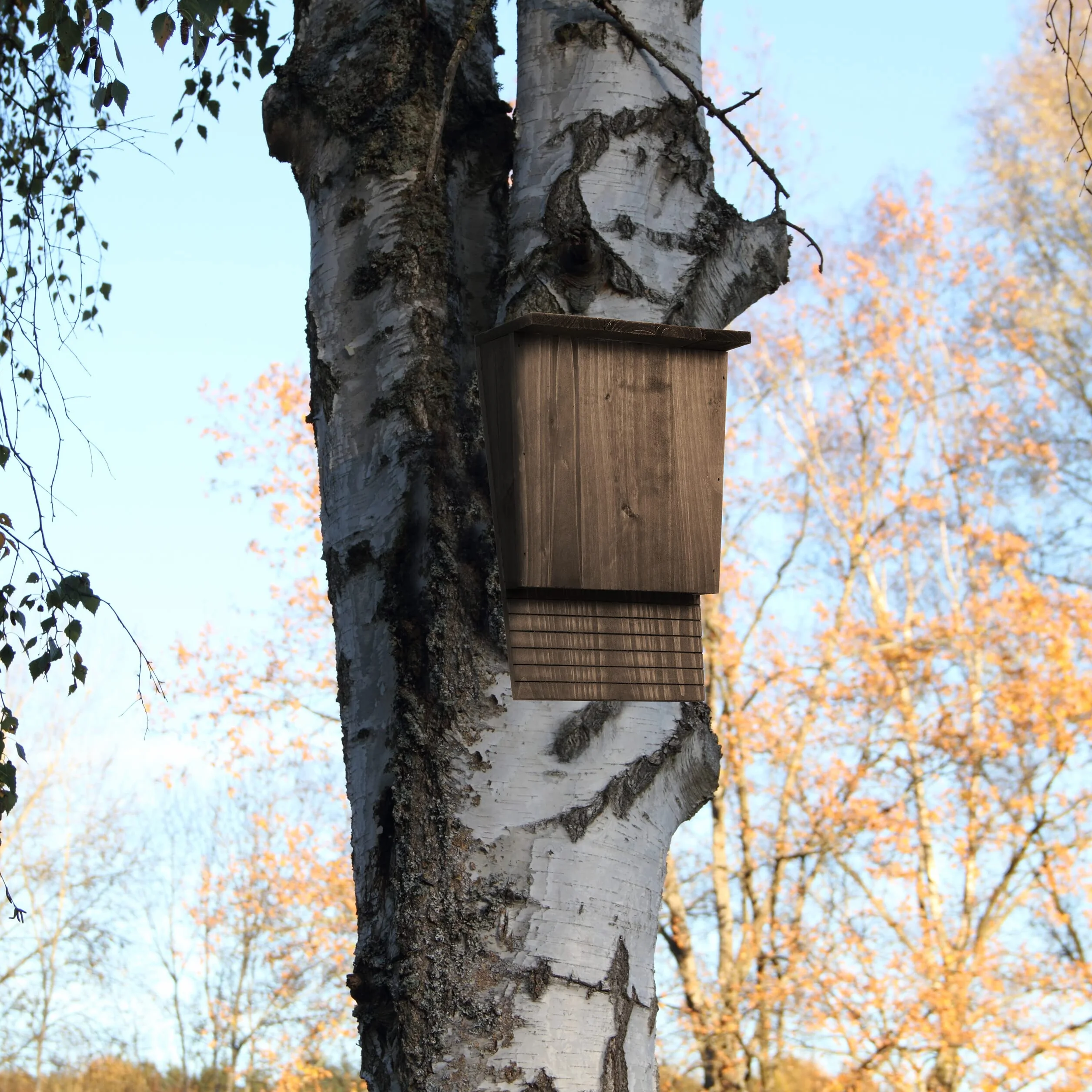 Relaxdays Abri à Chauves-Souris, Nichoir Bois 37x22x12,5 cm Marron