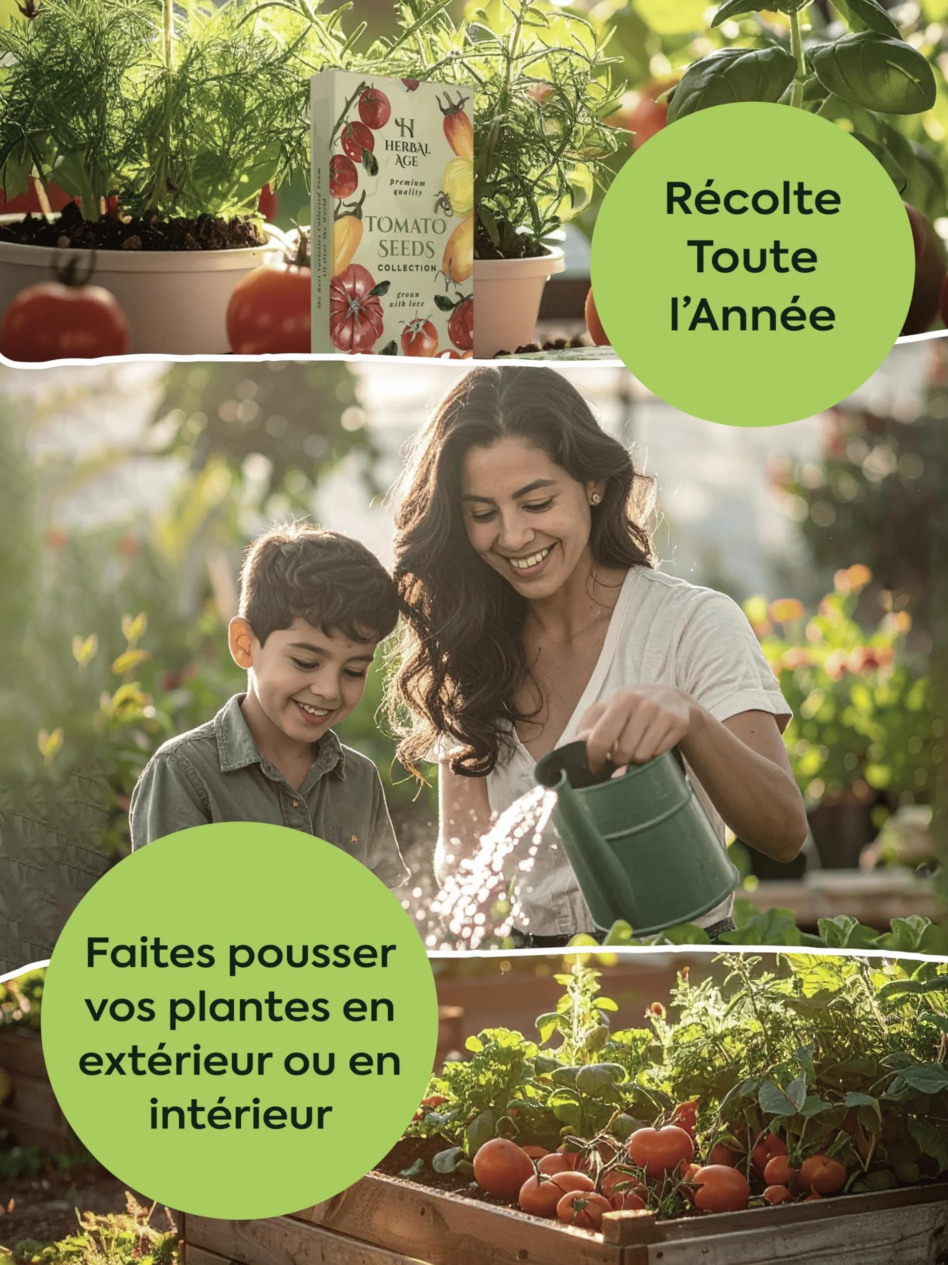 HERBAL AGE 12 Variétés de Plantes d'Herbes, 8700 Graines d'Herbes, Kit de Jardinieres Exterieur