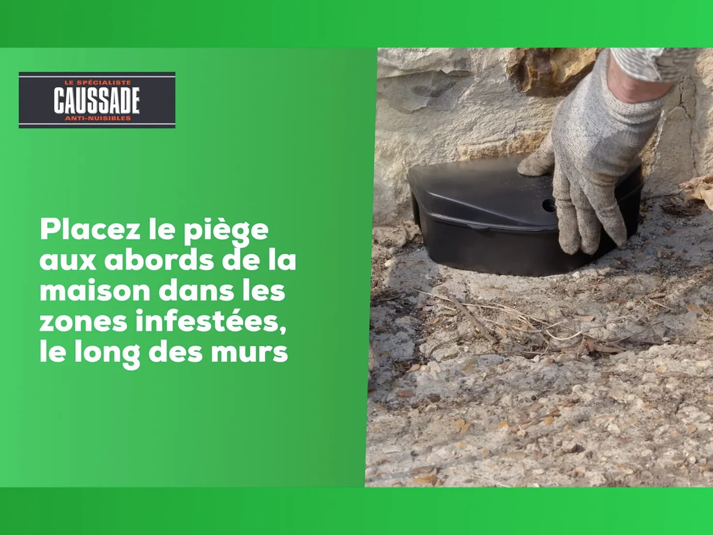 Caussade Raticide Canadien Anti Rats & Souris Fortes Infestations 72 Appâts pâtes 720g