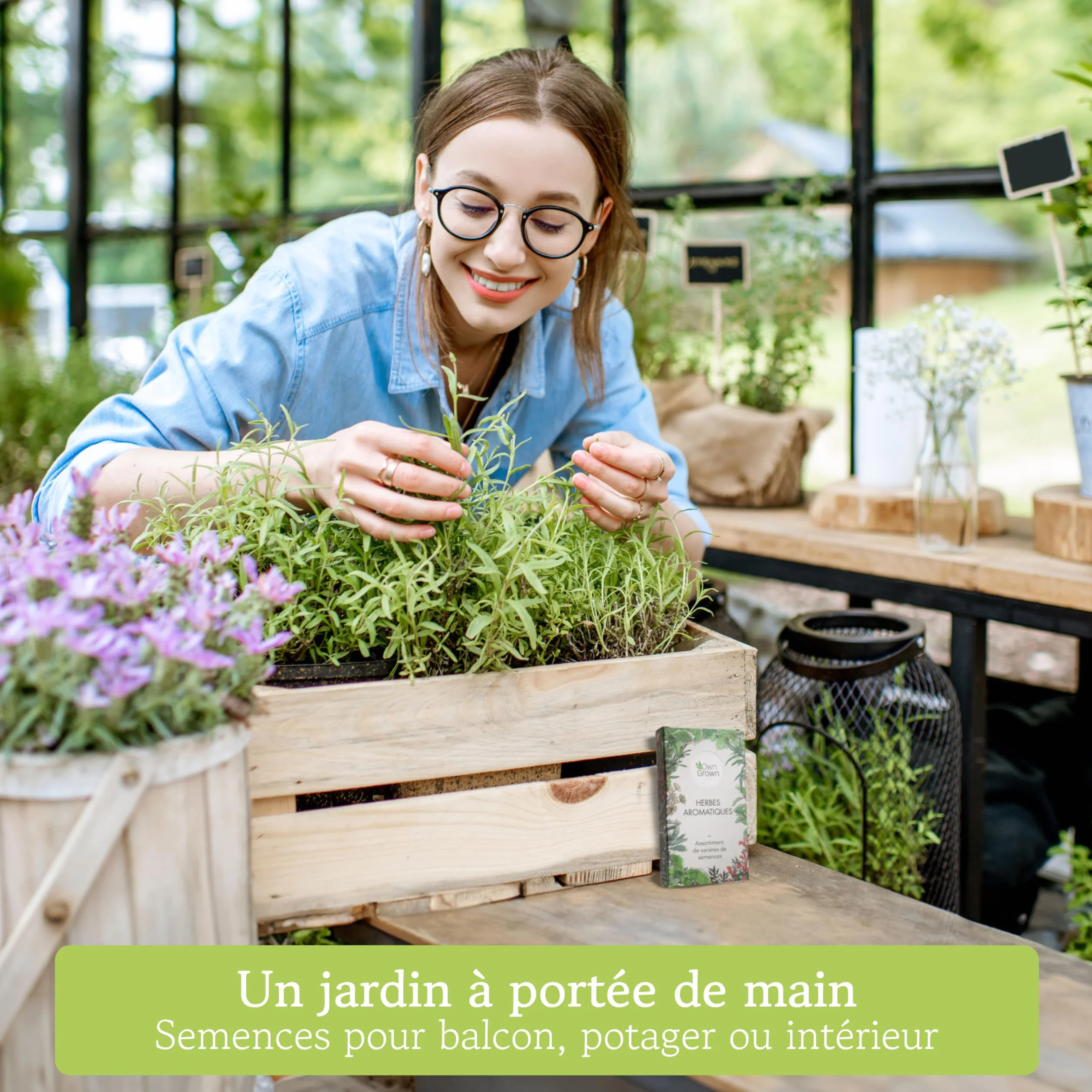 OwnGrown Kit de graines d'Herbes aromatiques, 12 épices et aromates, pour culture intérieure et extérieure