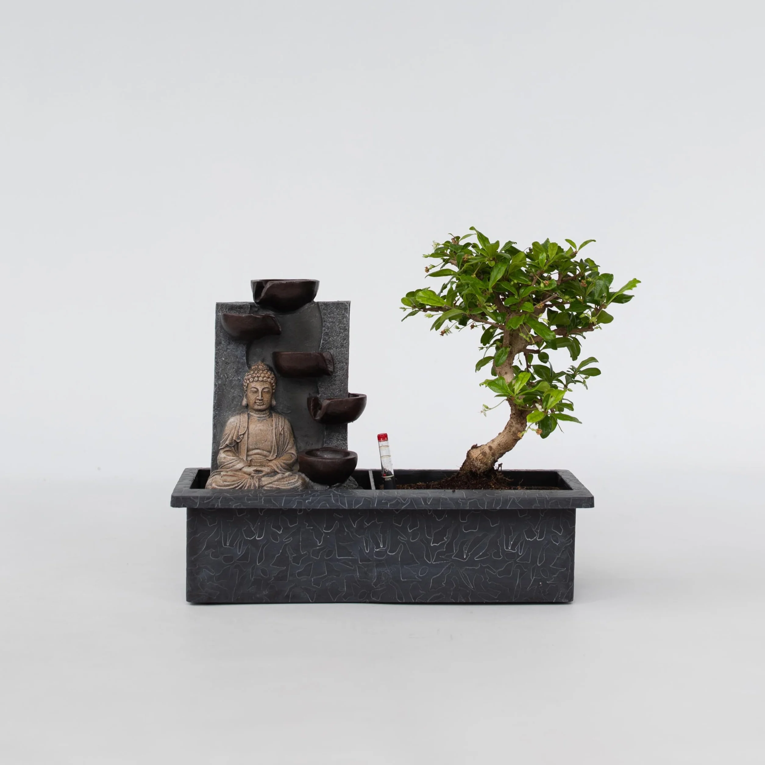 Bonsaï avec système d'eau cascade statue Bouddha plante d'intérieur 25-35cm