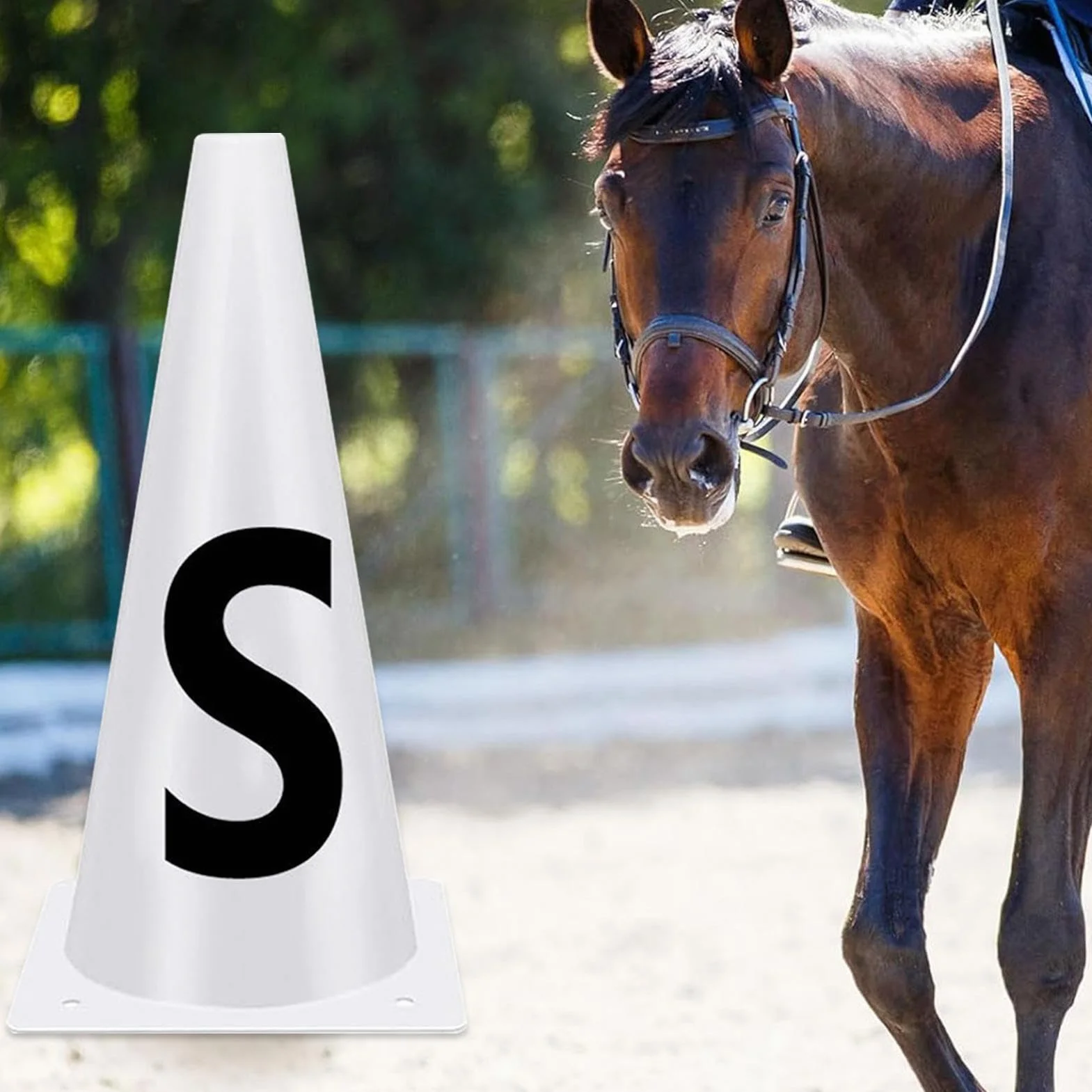 Cônes De Dressage Lettres 23CM Empilables Équipement Entraînement Chevaux