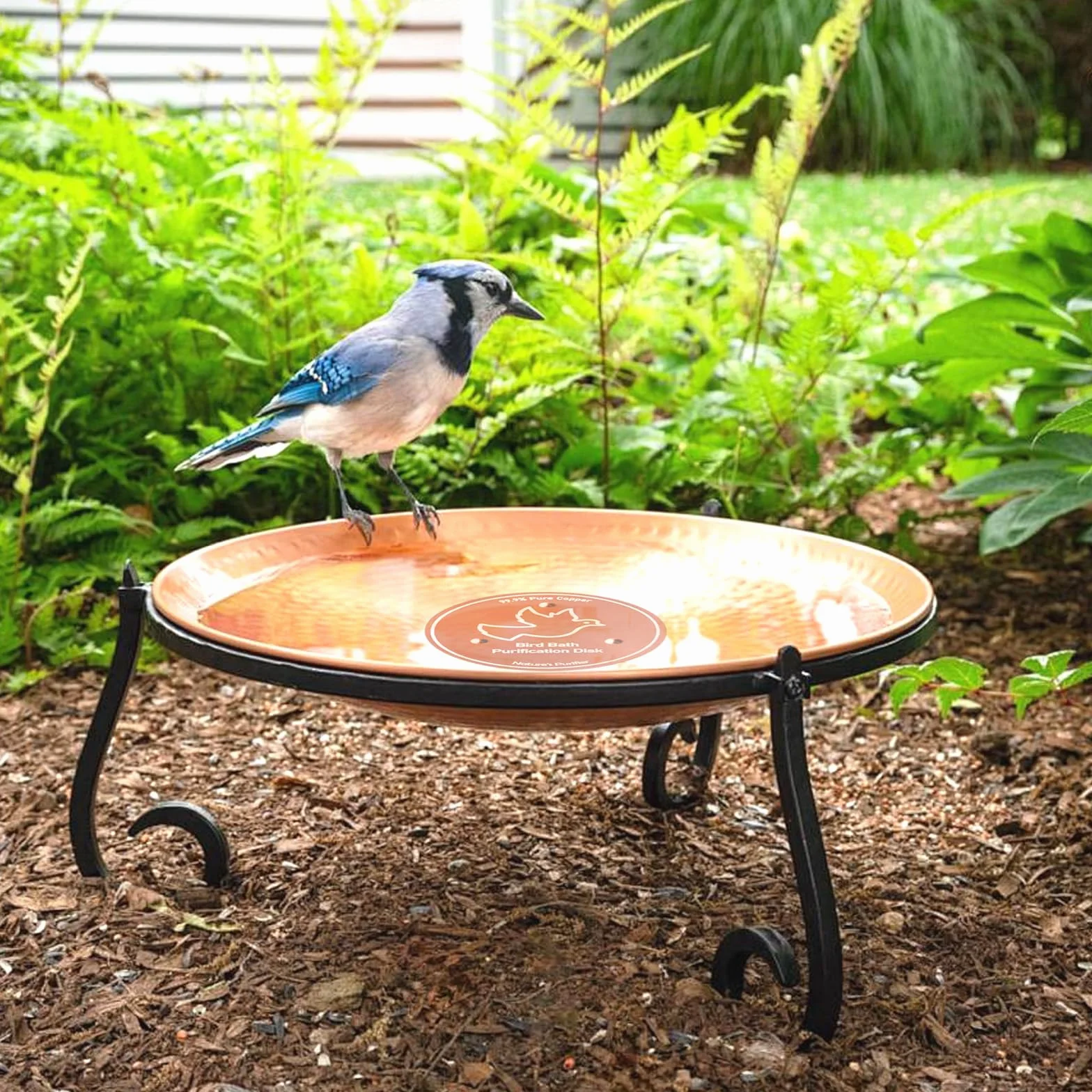 Disque de Purification pour Bain d'oiseaux en Cuivre Pur 99,99% 4 Pouces avec Support à Trois Points