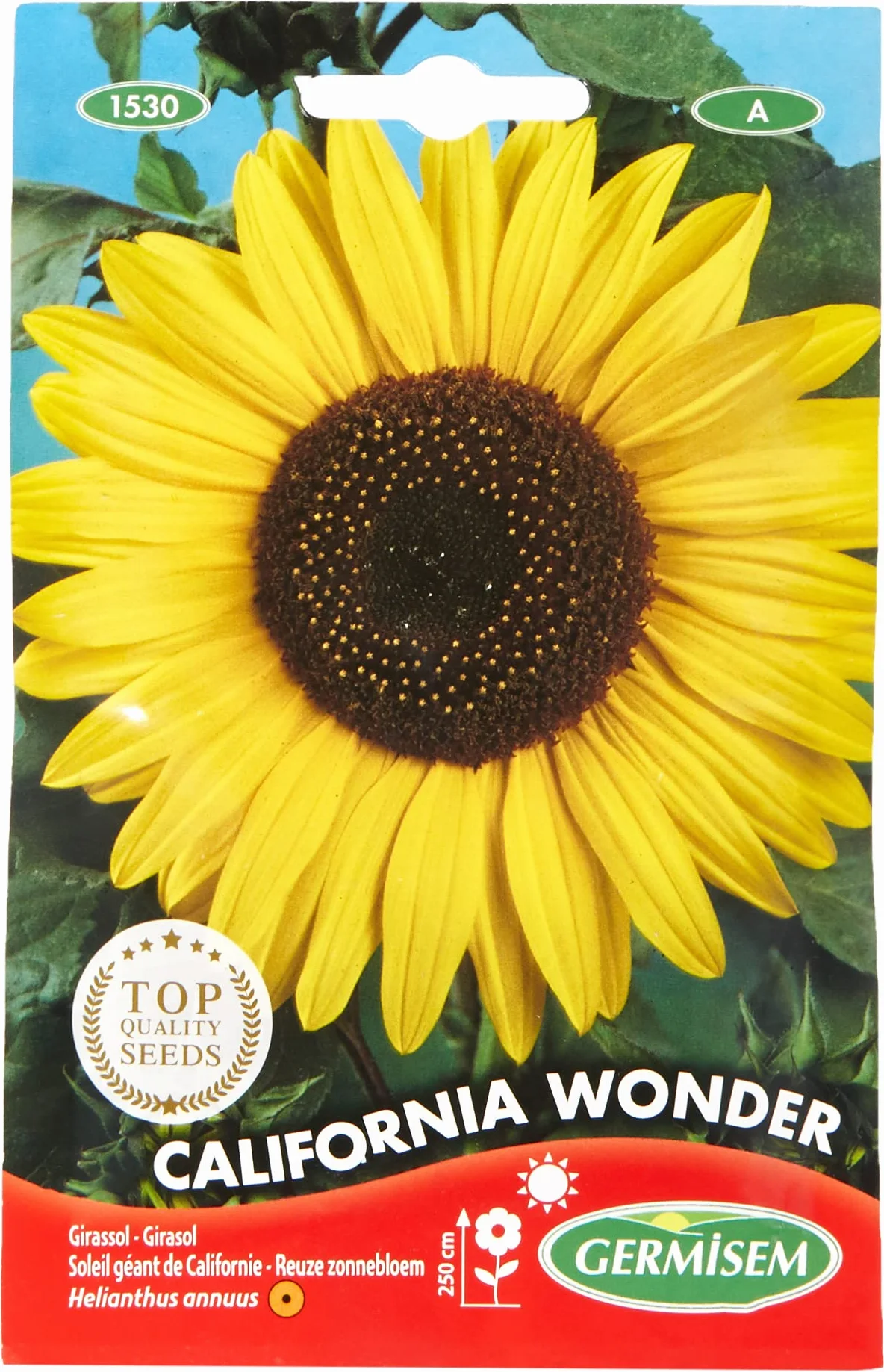 Germisem Graines Soleil géant de Californie CALIFORNIA WONDER