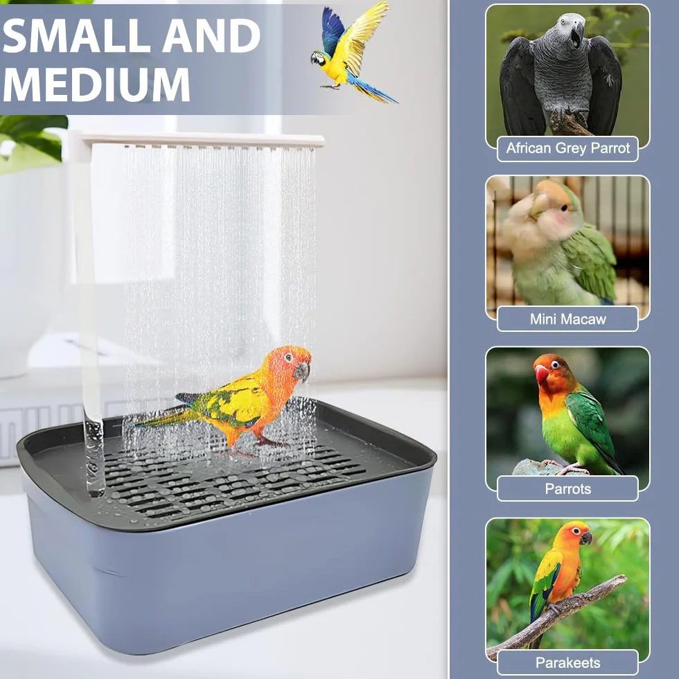 Douche à oiseaux automatique avec circulation d'eau pour perruches, pivoines et perroquets taille moyenne