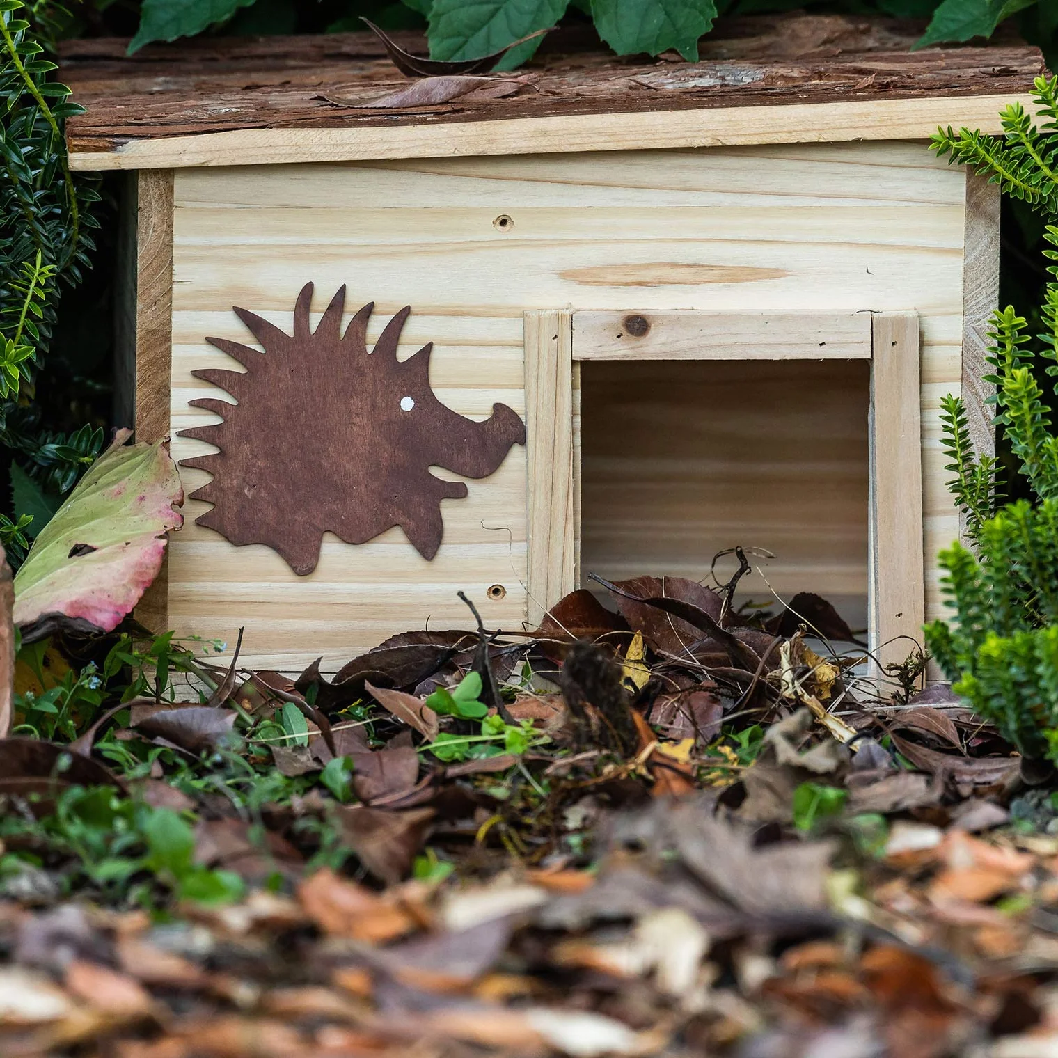 Maison hérisson en bois 32x26x22cm - pension pour hérisson hutte hôtel avec toit amovible