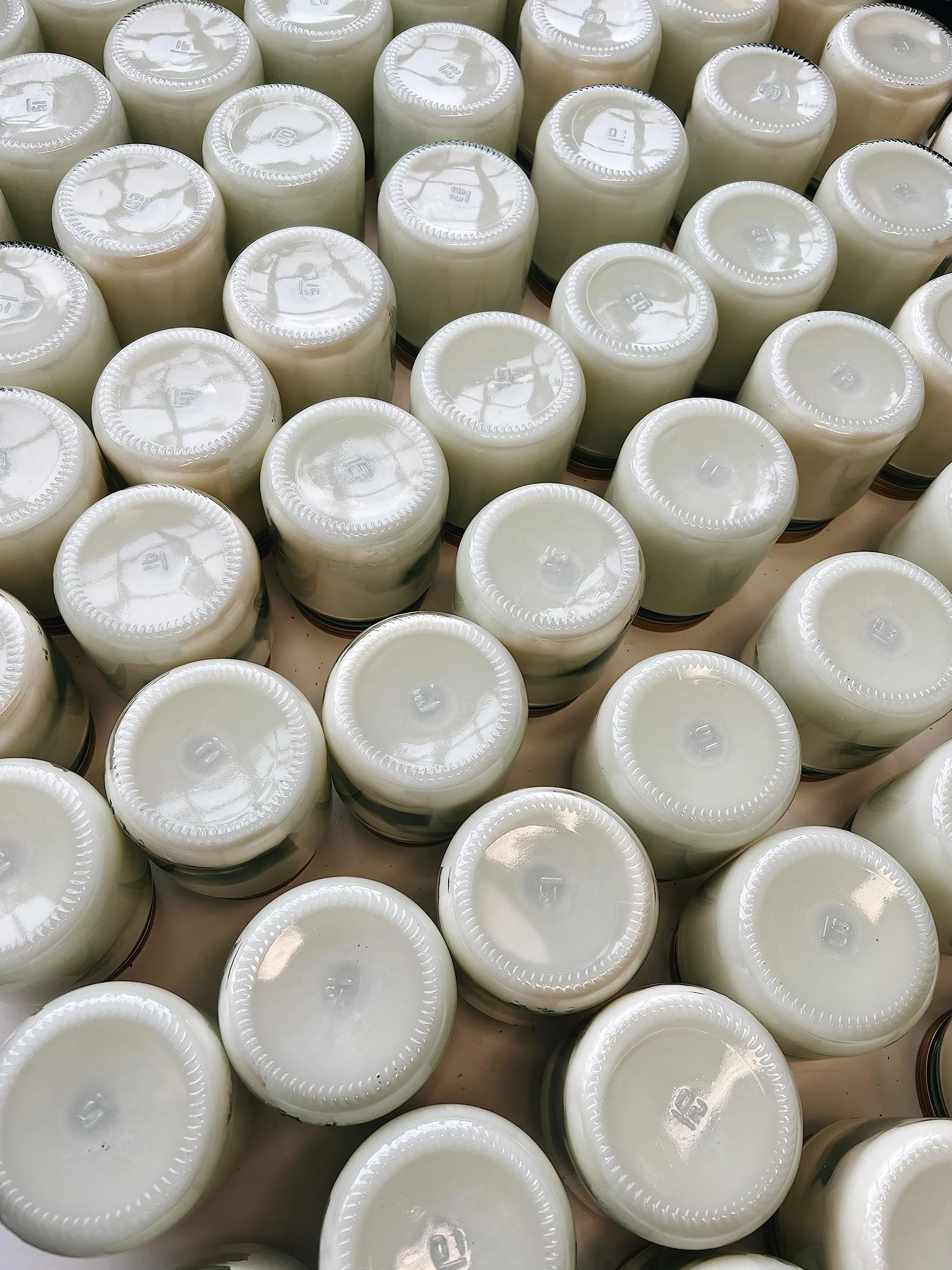 OCTO Bougie parfumée à la citronnelle 300 ml - 60 heures à la cire de soja et huiles essentielles