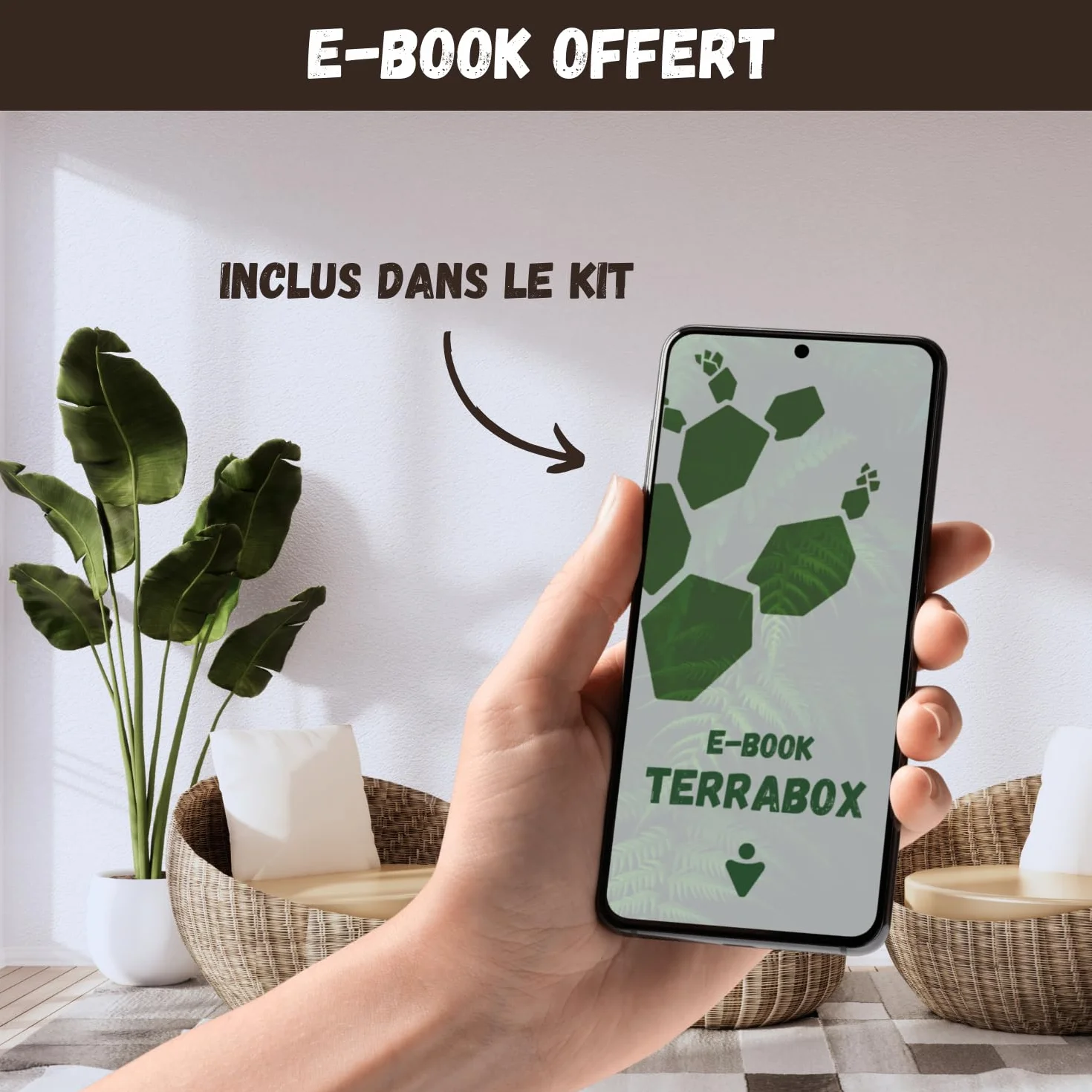 Kit Mini Fruitiers Prêt à Pousser Fraise Myrtille Mini Citronnier Graines Bio Jardin Intérieur Extérieur