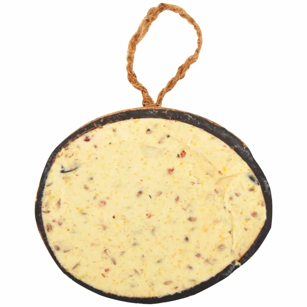 vidaXL 10x Moitiés de Noix de Coco pour Oiseaux 290 g
