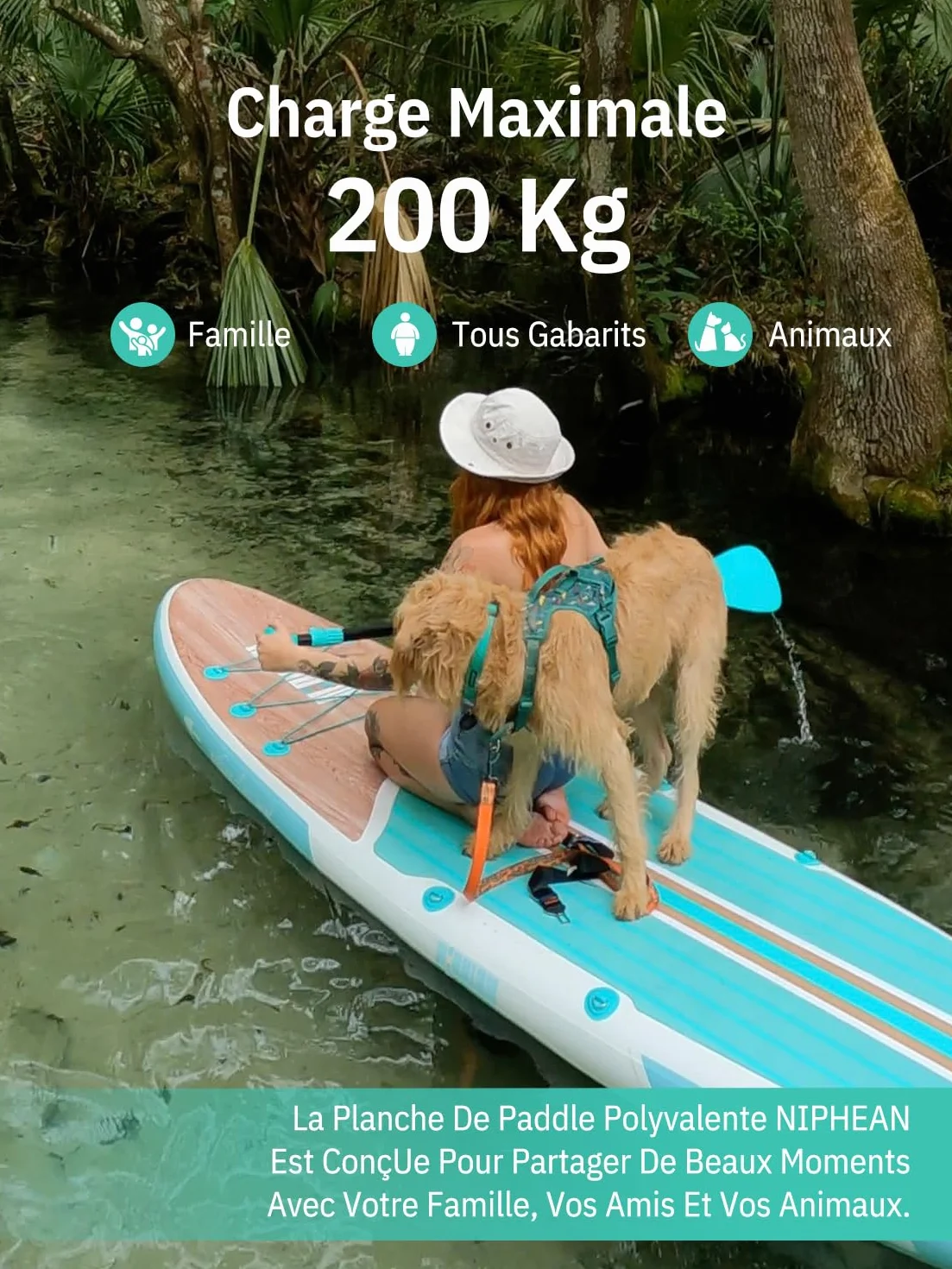 Niphean Paddle Gonflable Adulte avec Tous Les Accessoires, 320cm Planches de Stand Up Paddle Gonflables pour Tous Les Niveaux, Sup avec Capacité 200 kg pour 2 Personnes, Paddle Gonflable avec Siège