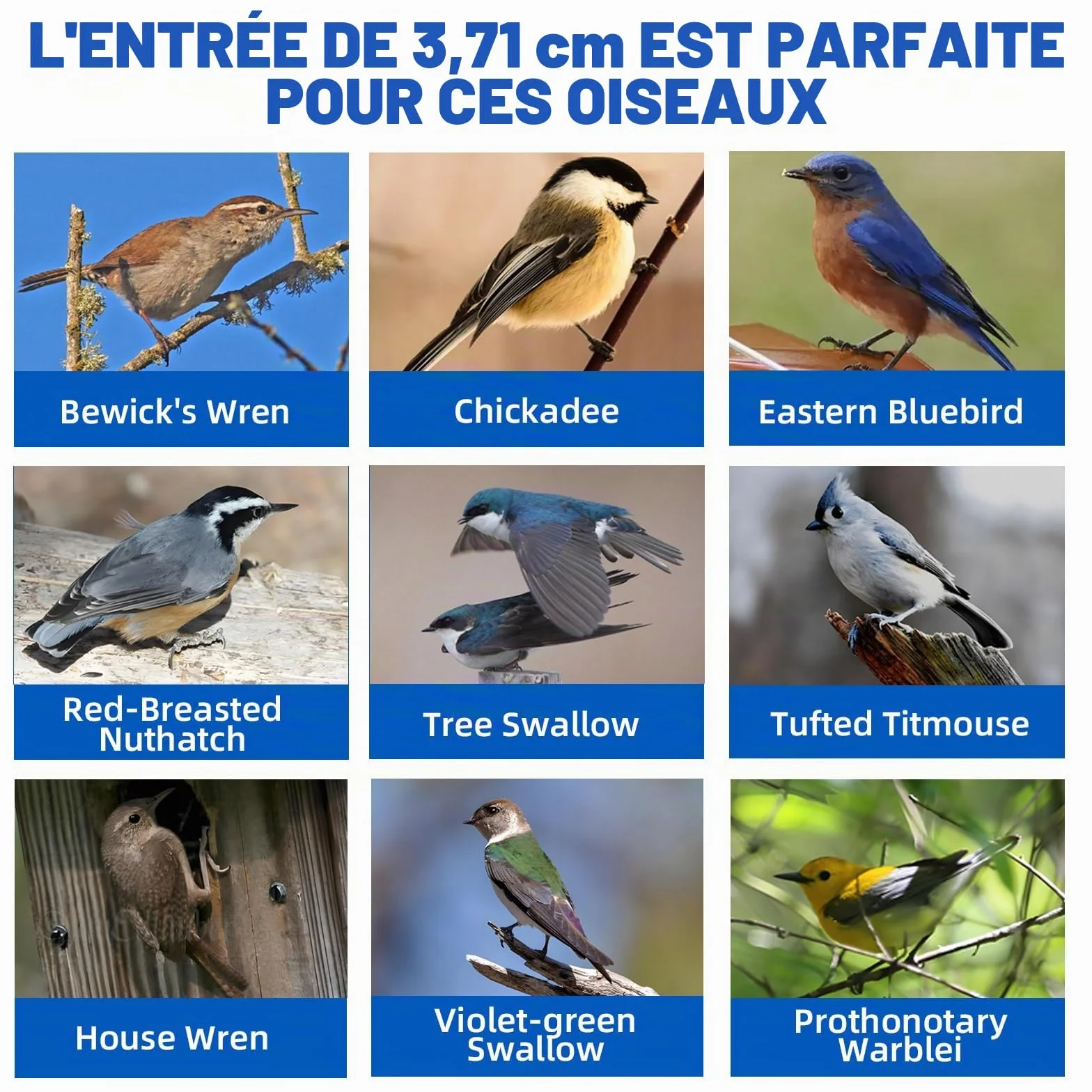 Nichoir à oiseaux décoratif en bois pin naturel double entrée