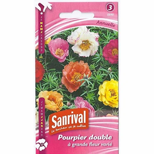 Graines de pourpier double