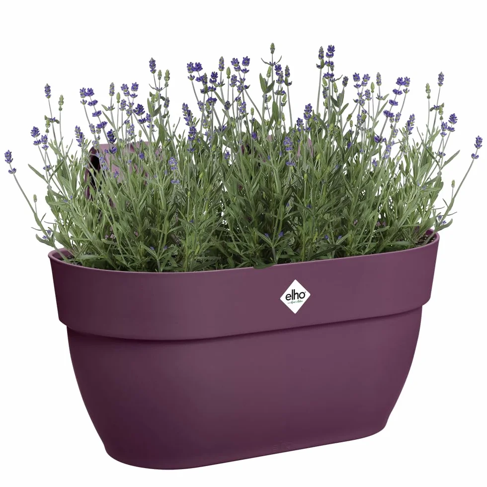 Elho Vibia Campana Easy Hanger M 36 Planteur Balcon Extérieur Ø 36 x H 26.5 cm Violet Mauve Érable
