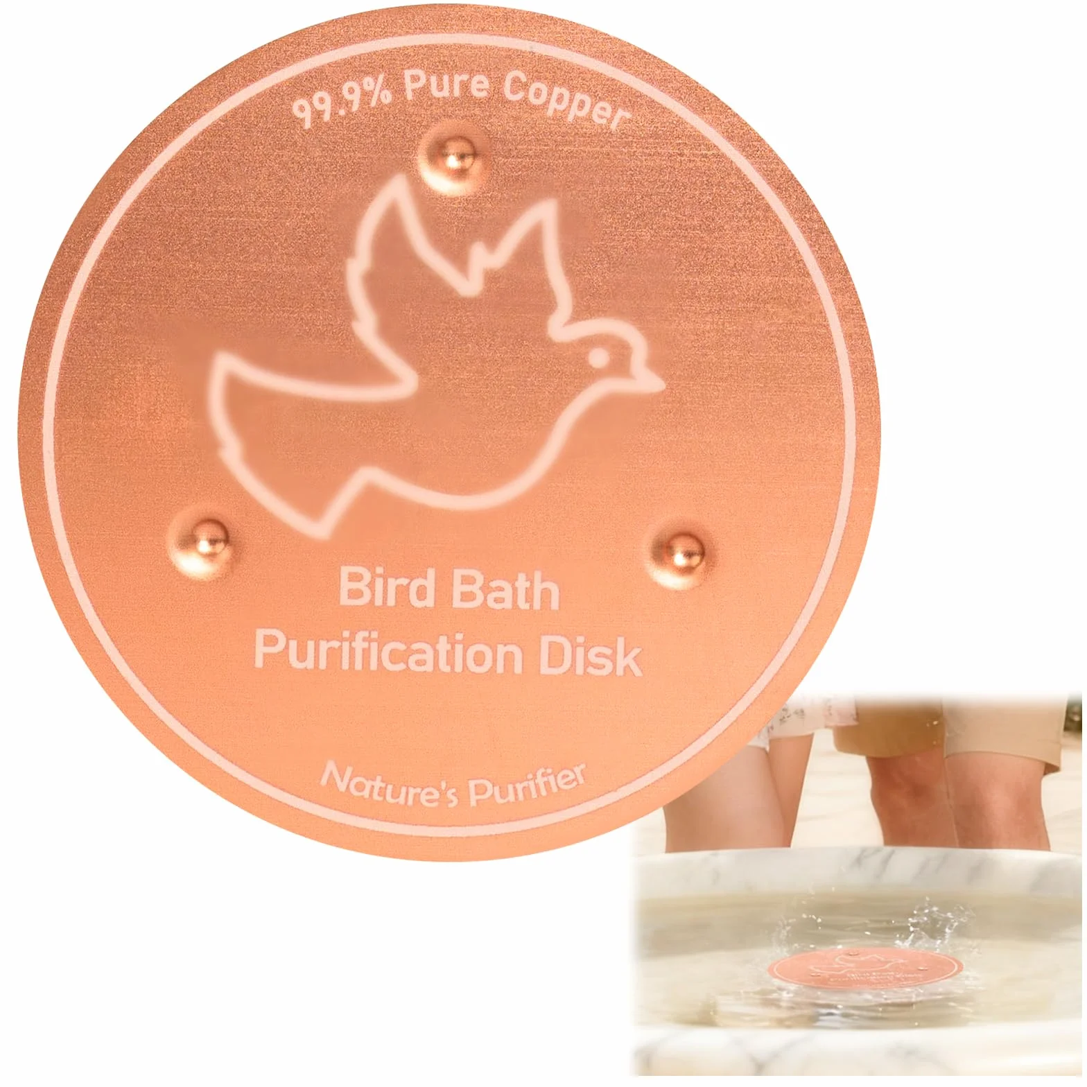Disque de nettoyage en cuivre pur 99,99% 100 mm pour bain d'oiseaux, renforcé 0,6 mm