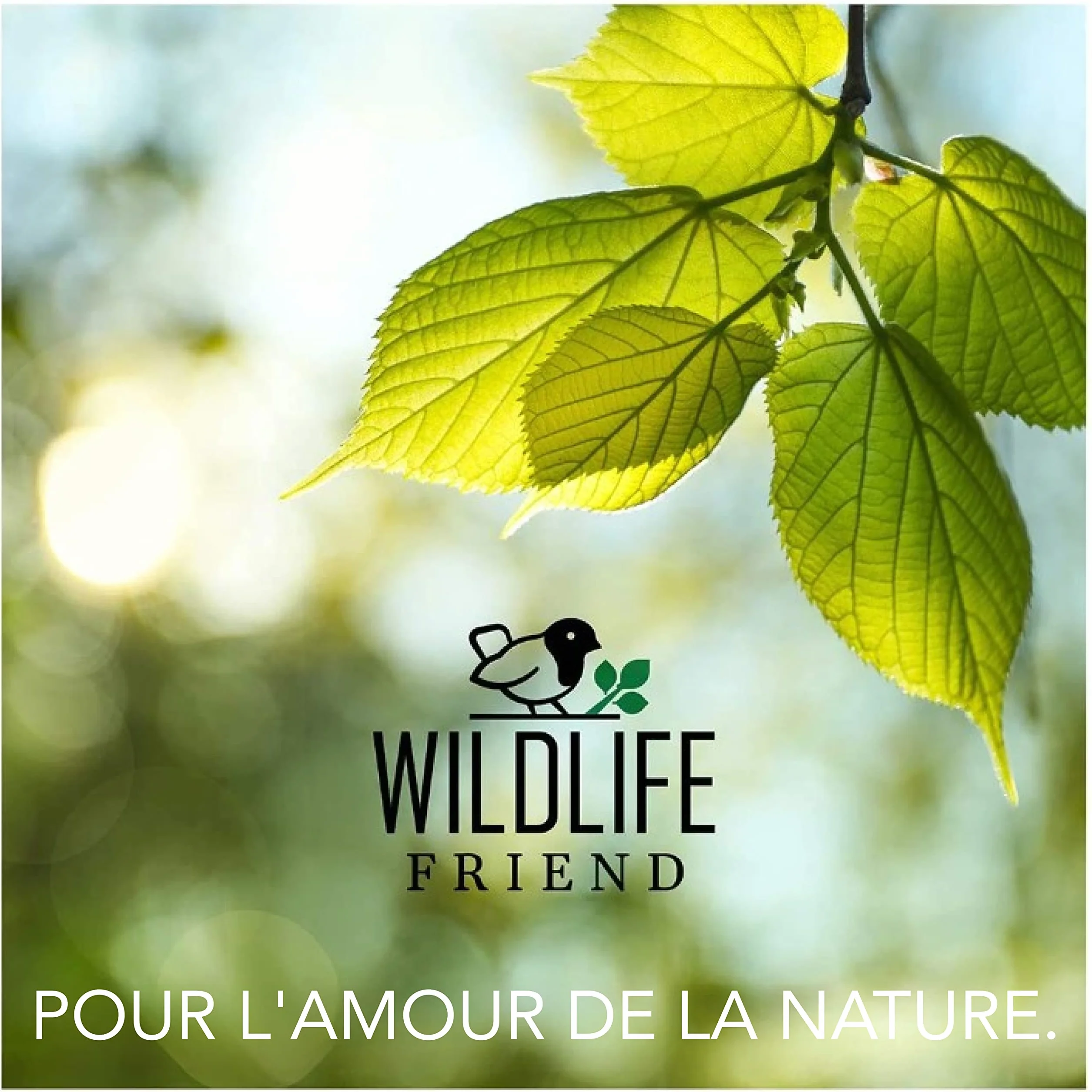 Hotel A Insectes avec Toit Métallique - Bois Non Traité, Maison pour Abeilles, Papillons - Hôtels à Insectes Extérieur