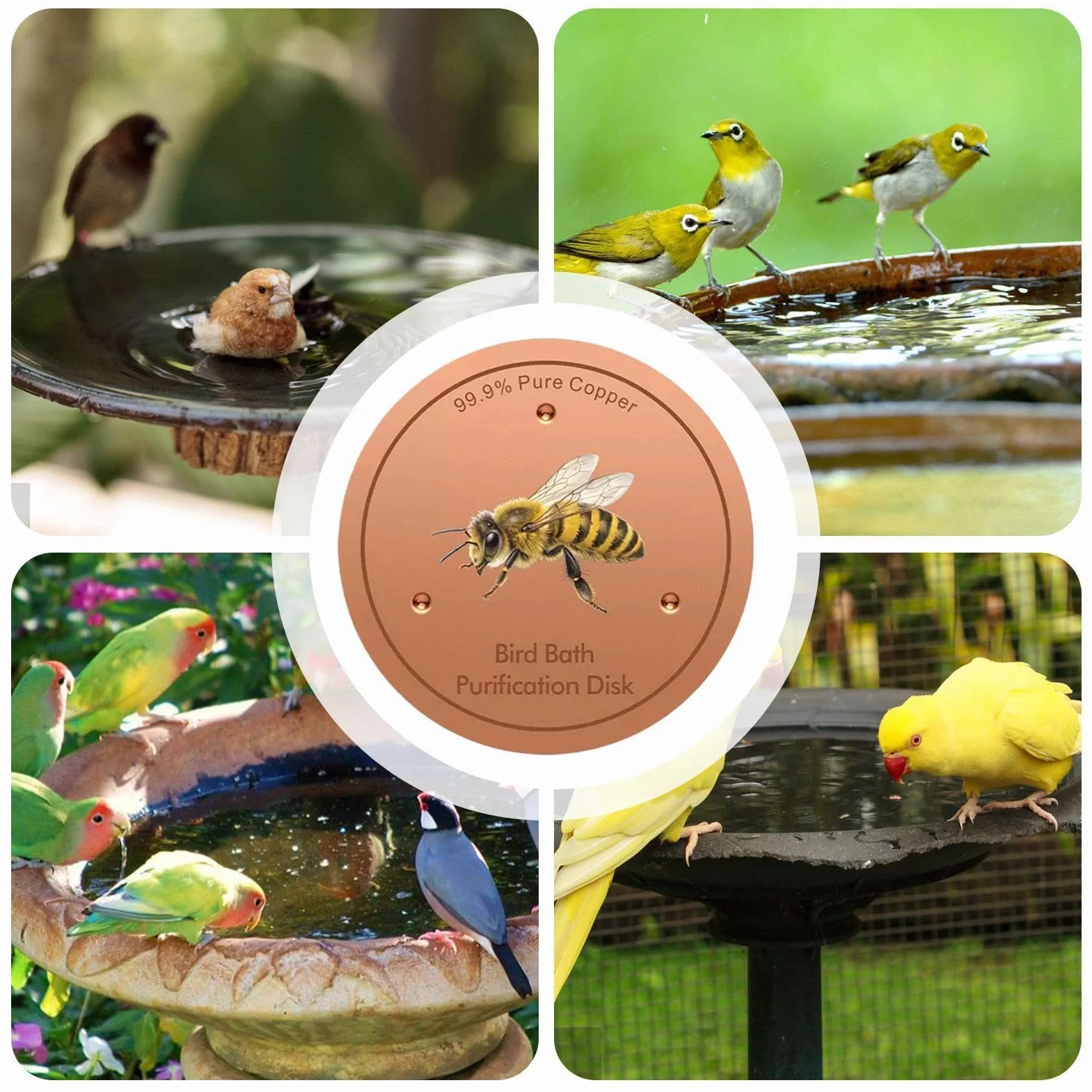 Disque en Cuivre pour Bain d'oiseaux Nettoyant Motif Abeille Terrasse Patio Fontaine Bassin Jardin