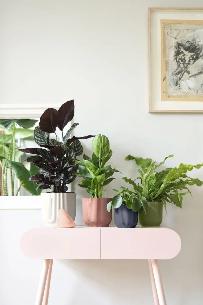 Elho Vibes Fold Rond 14 Pot De Fleurs Intérieur Plastique Recyclé Ø 14.1 x H 12.9 cm Blanc Linen White
