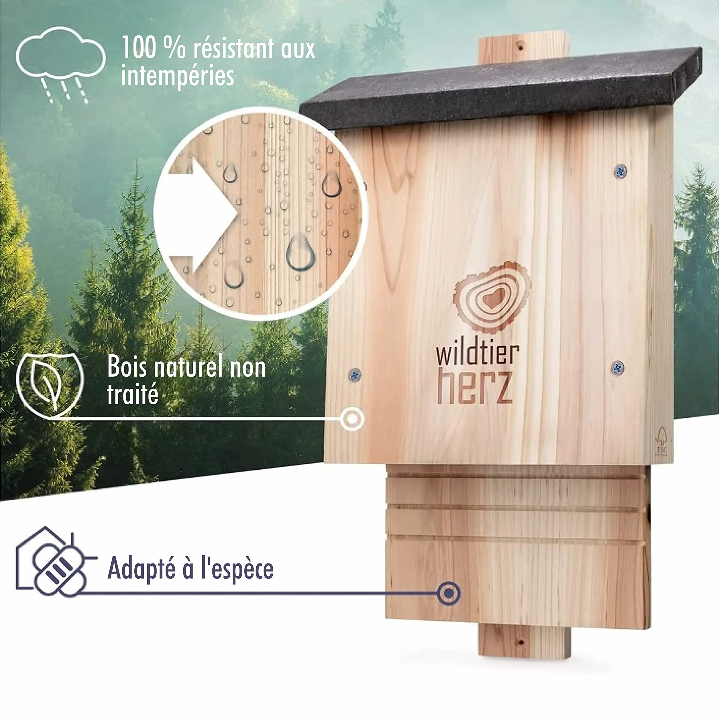 Grand Nichoir Chauve Souris en Bois Massif FSC - Vissé, Résistant aux Intempéries, Abri à Chauve Souris