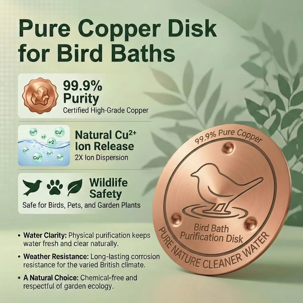 Plaque de Nettoyage en Cuivre Pur 99,99% pour Bain d'Oiseaux, Purification d'Eau sans Produits Chimiques