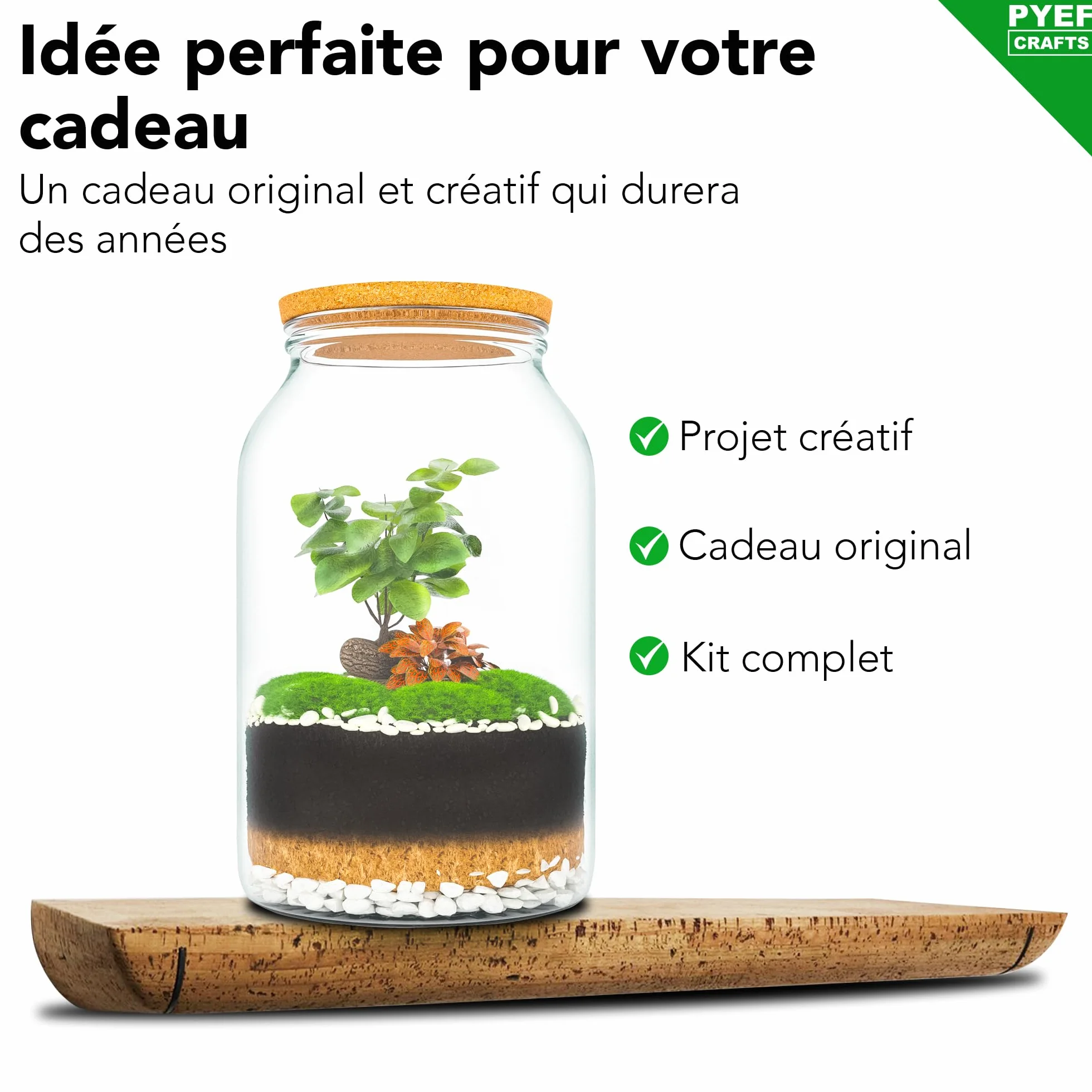 Terrarium Verre XL Kit DIY 4L Jardin en Bouteille