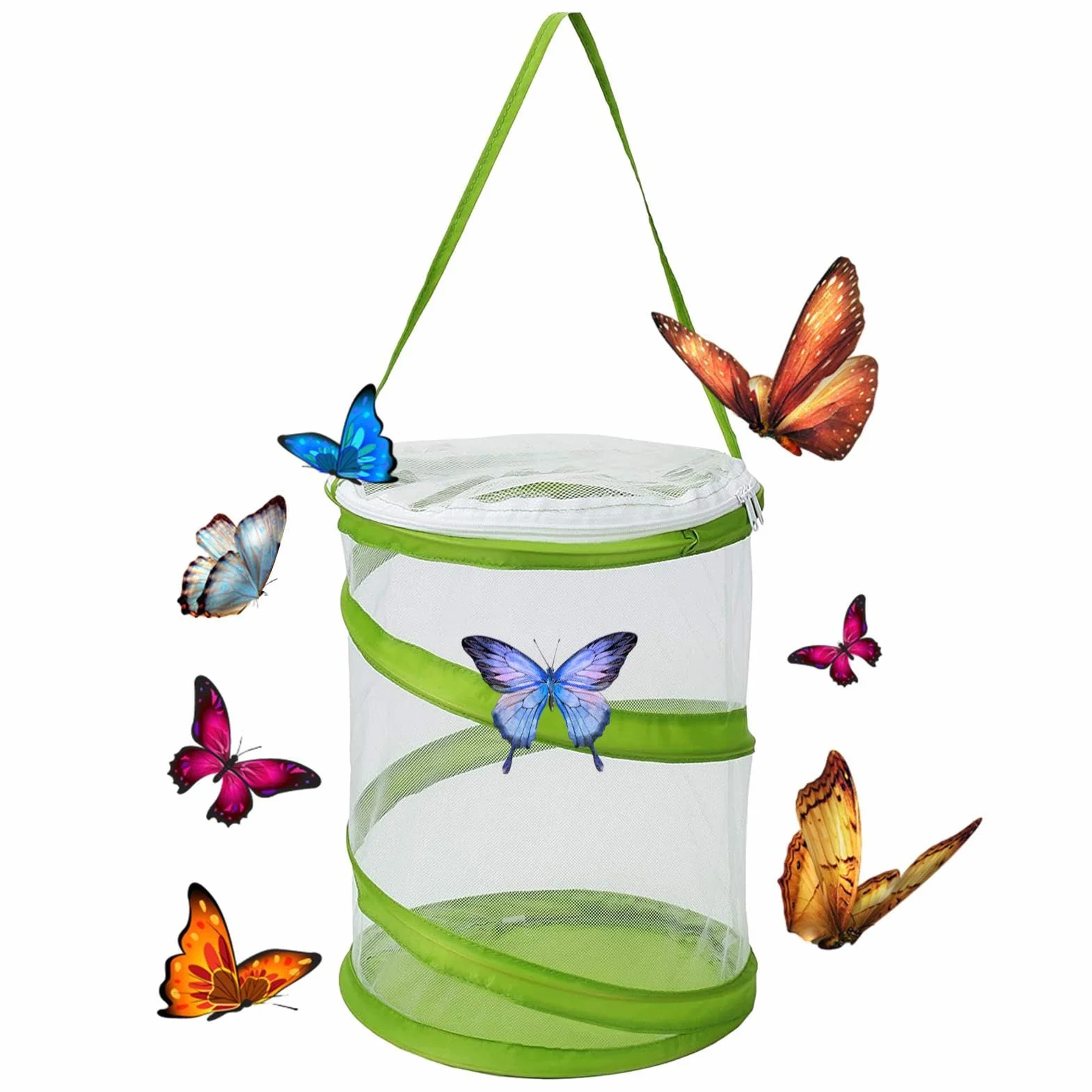 Cage à insectes pliable - Cage papillon d'élevage et de reproduction