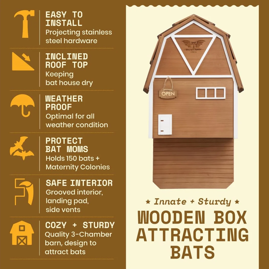 Big Bat Barn Bat House pour l'extérieur - Cage Chauve-Souris sans Vernis