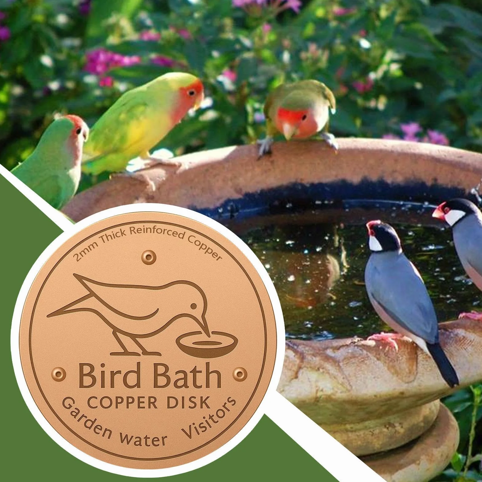 Plaques en Cuivre pour Bain d'oiseaux 10cm Disque De Nettoyage Support À Trois Points